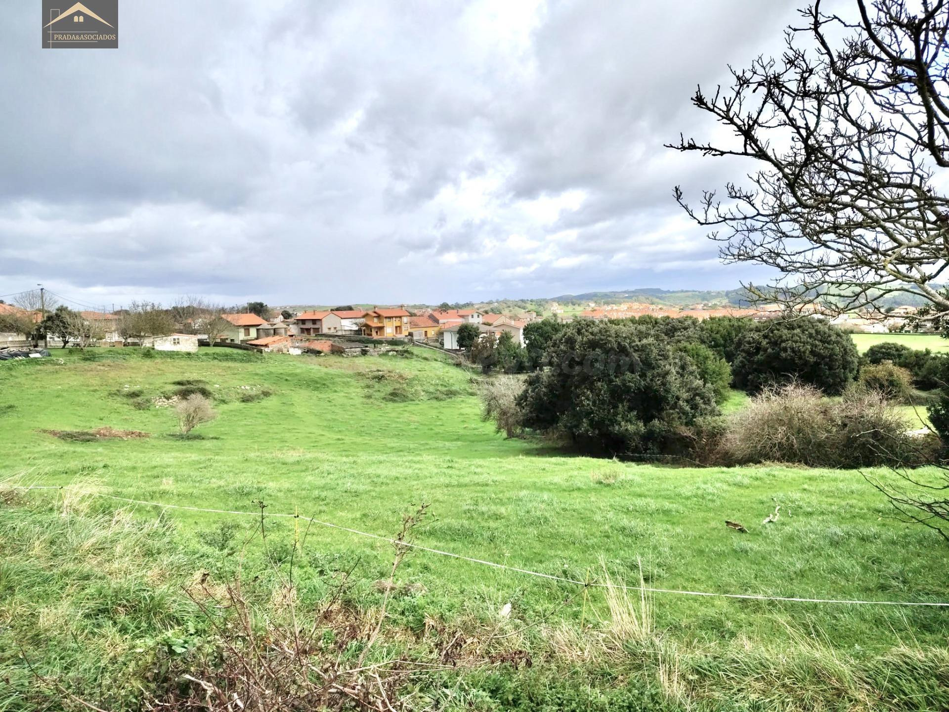 FINCA CENTRICA EN AJO. - foto 4