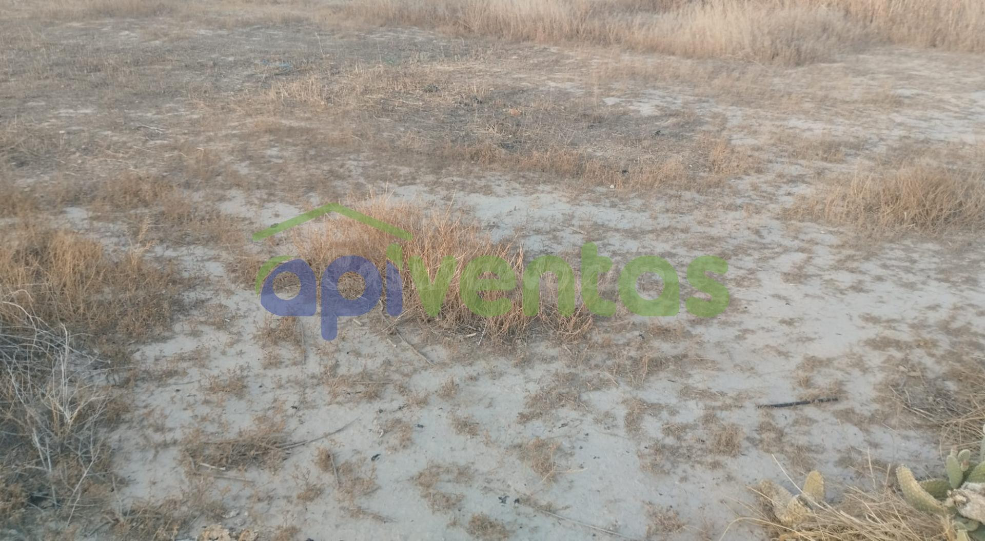 Terreno de Regadío - foto 2