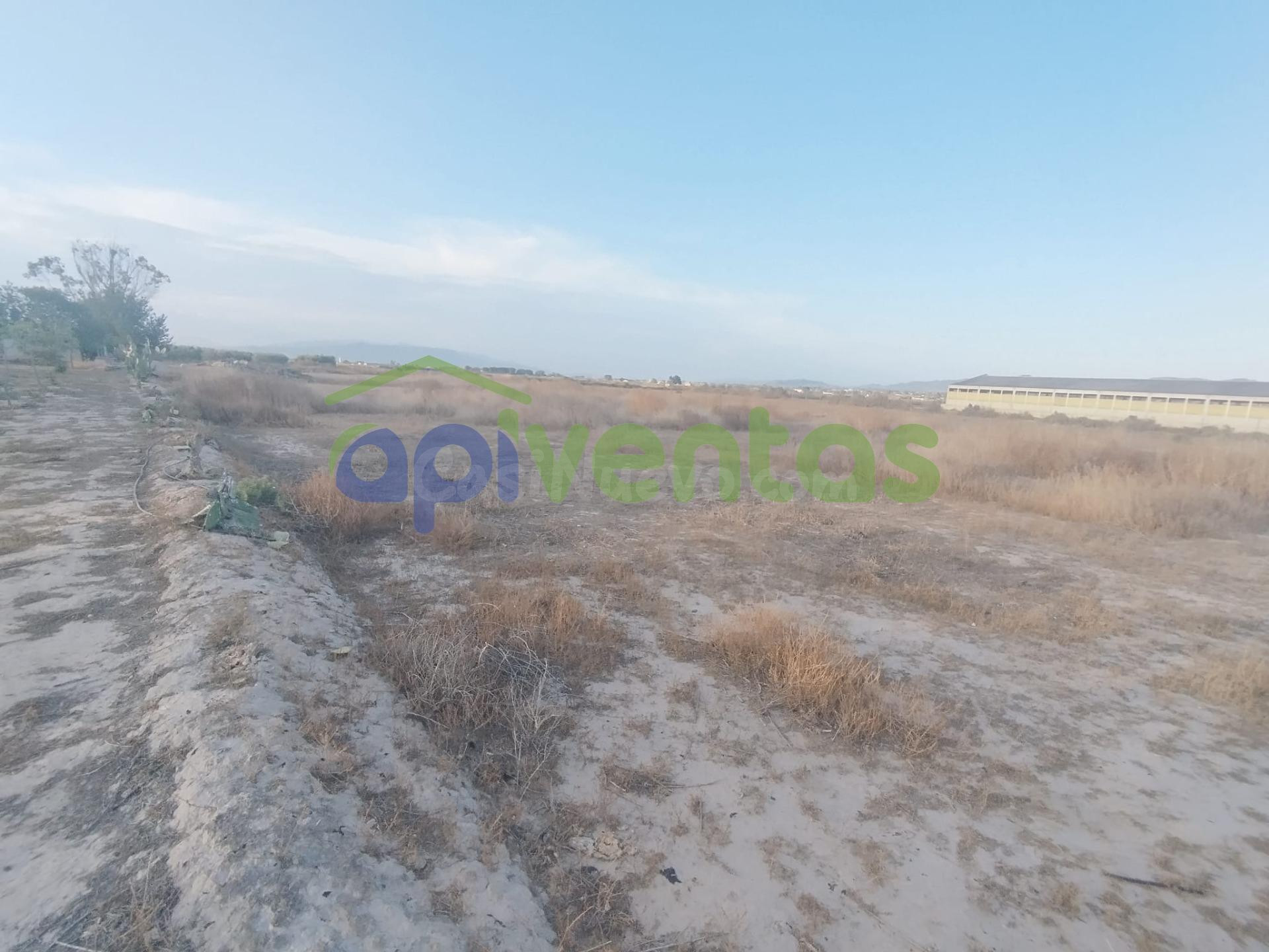 Terreno de Regadío - foto 4