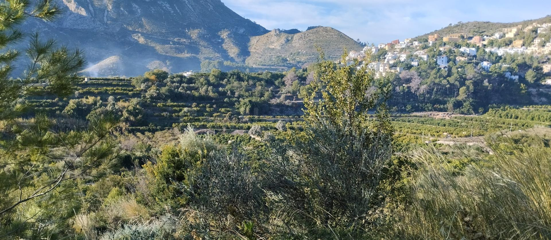 Finca rústica, mucho potencial