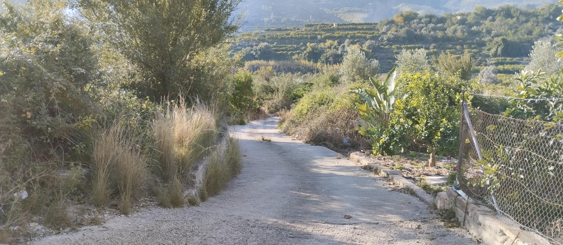 Finca rústica, mucho potencial - foto 2