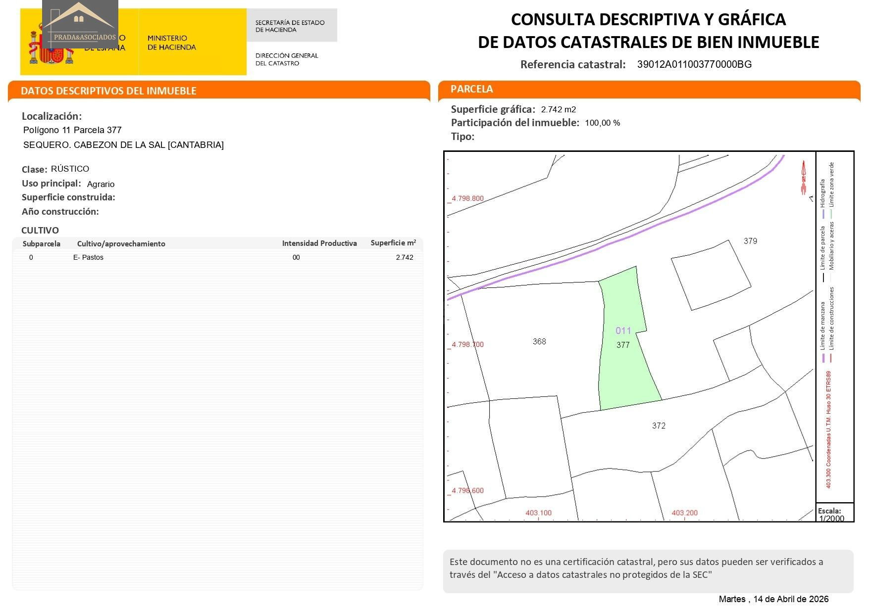 Finca rústica con eucaliptos listos para aprovechamiento - foto 4