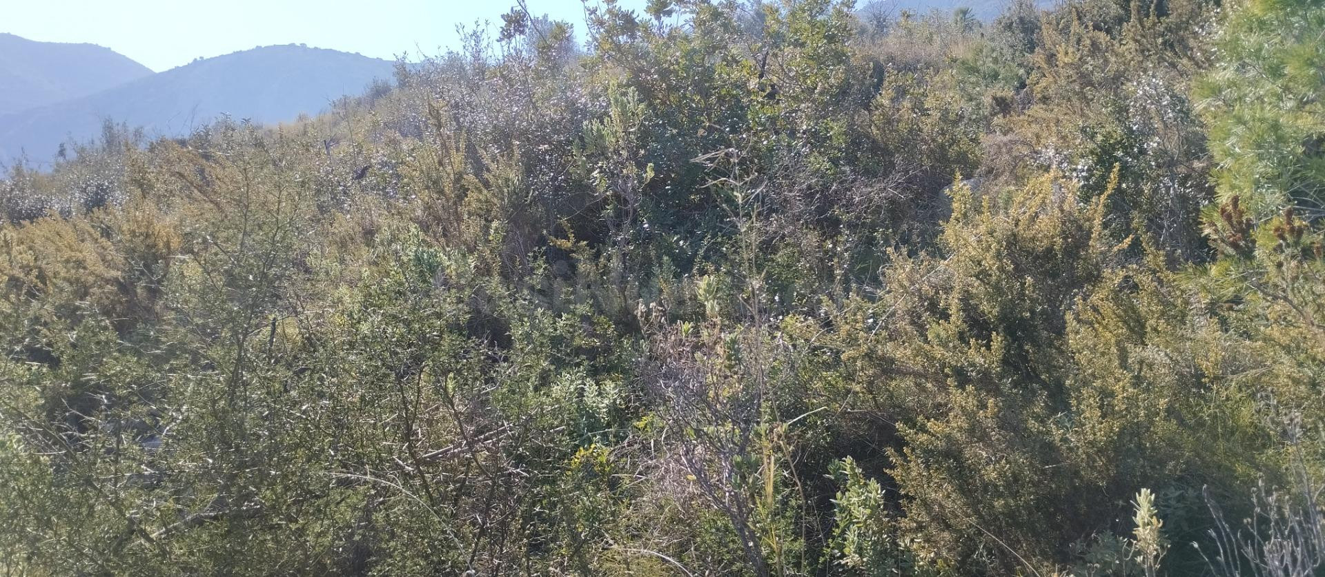 Finca Urbanizable con Vistas - foto 4