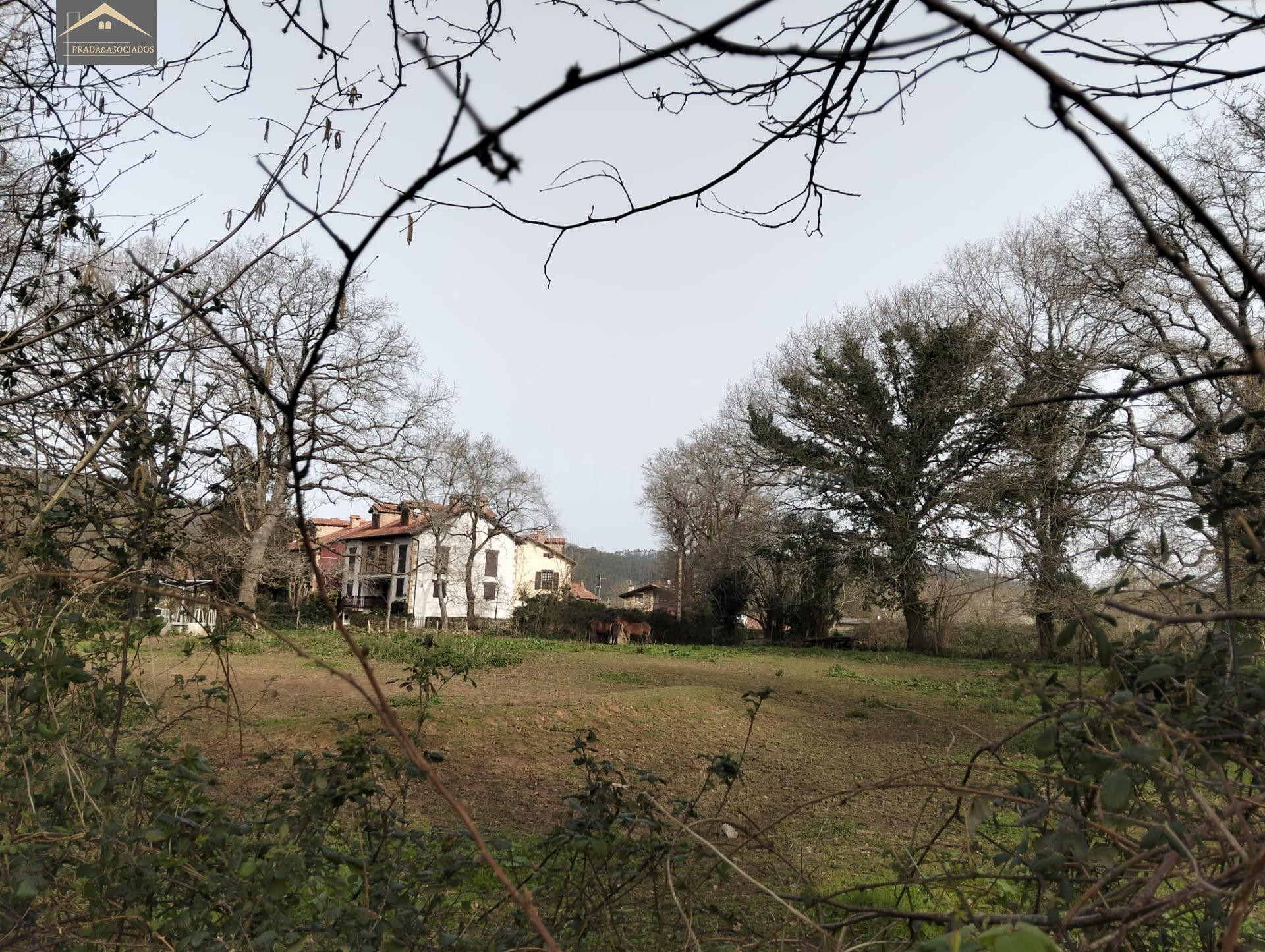 FINCA URBANA DE 3344m2 EN ONTORIA (CABEZON DE LA SAL)