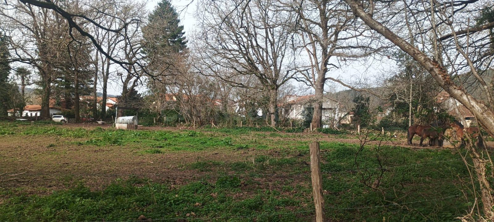 FINCA URBANA DE 3344m2 EN ONTORIA (CABEZON DE LA SAL) - foto 3