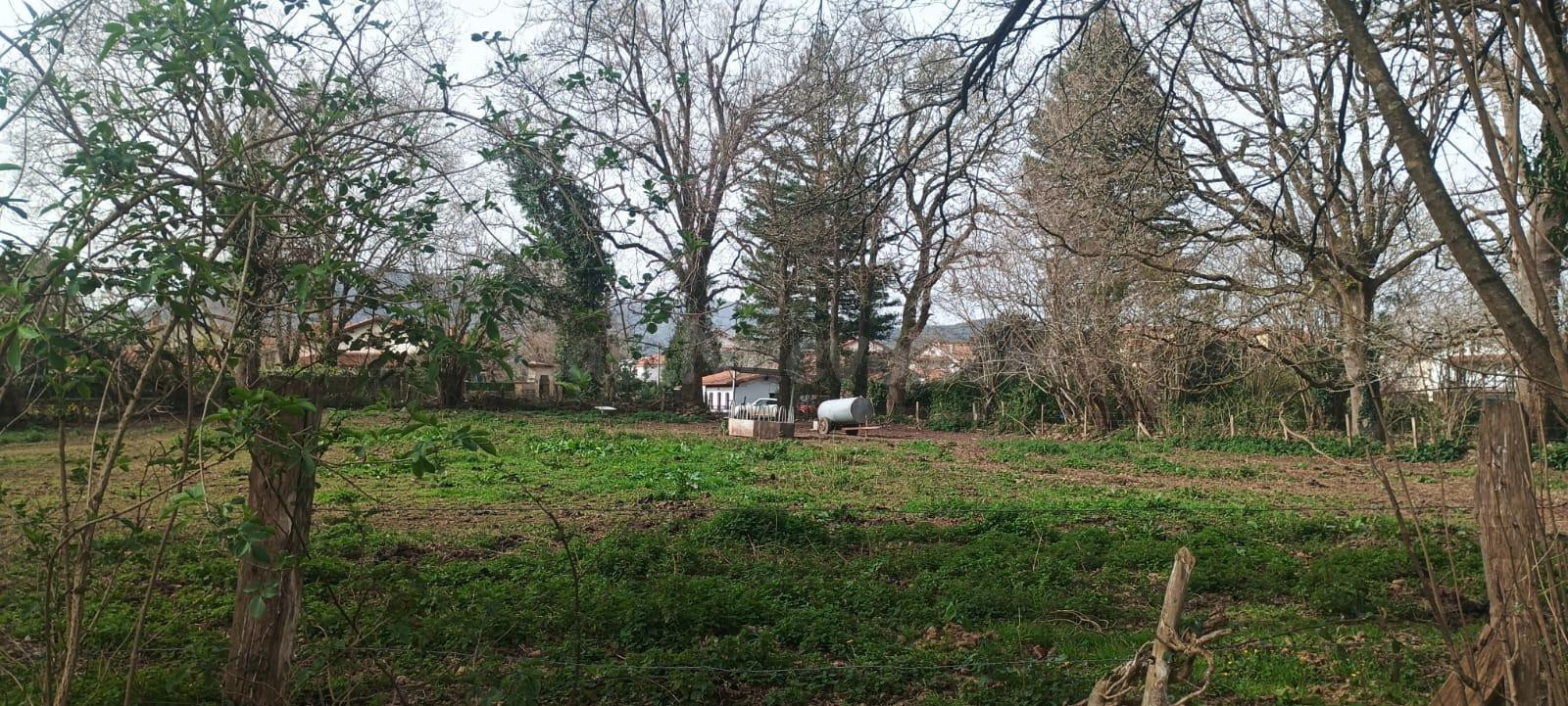 FINCA URBANA DE 3344m2 EN ONTORIA (CABEZON DE LA SAL) - foto 4