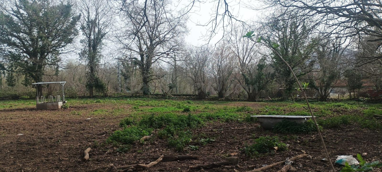 FINCA URBANA DE 3344m2 EN ONTORIA (CABEZON DE LA SAL) - foto 5