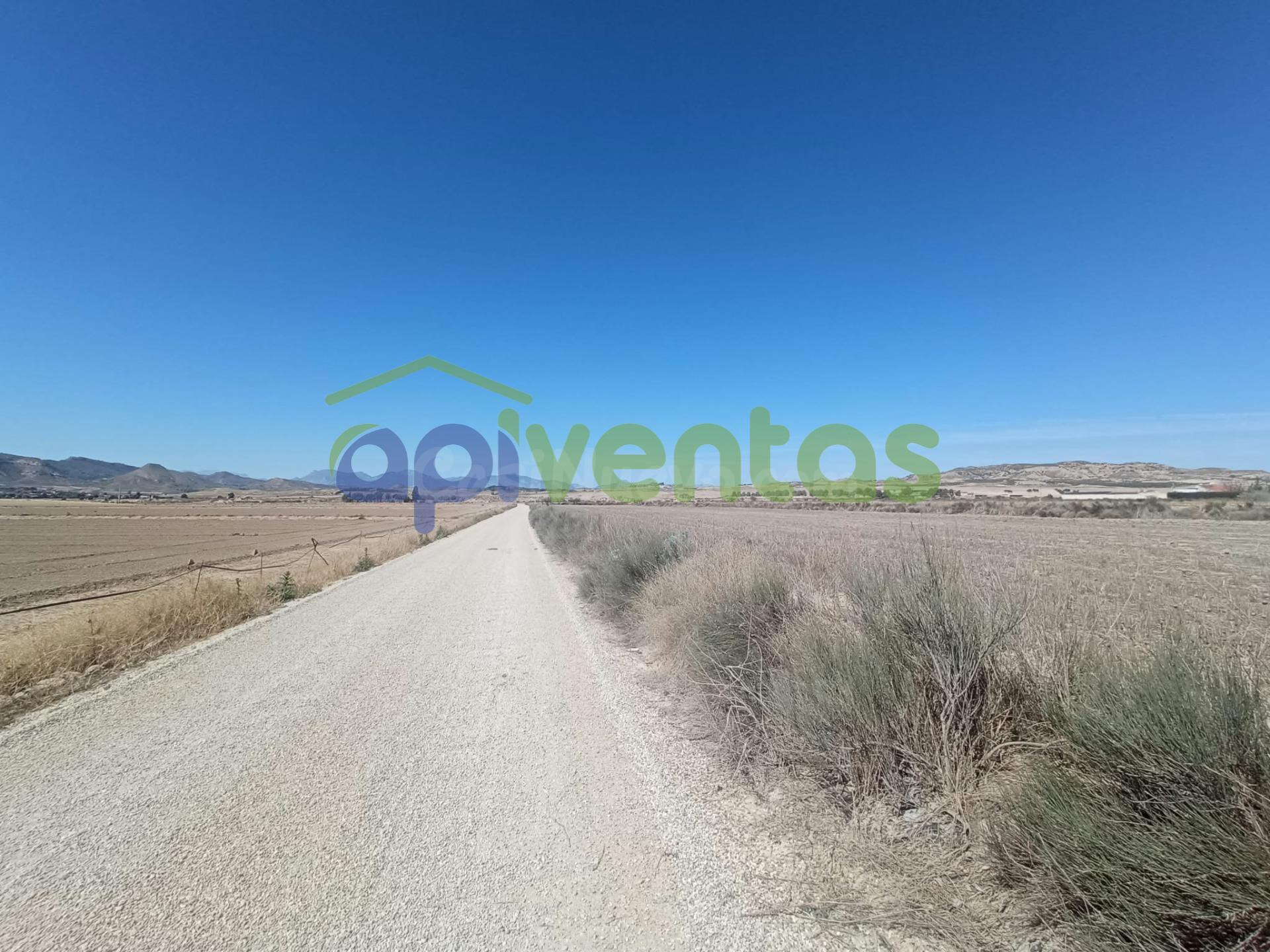 Terreno en Lorca (LERNA)