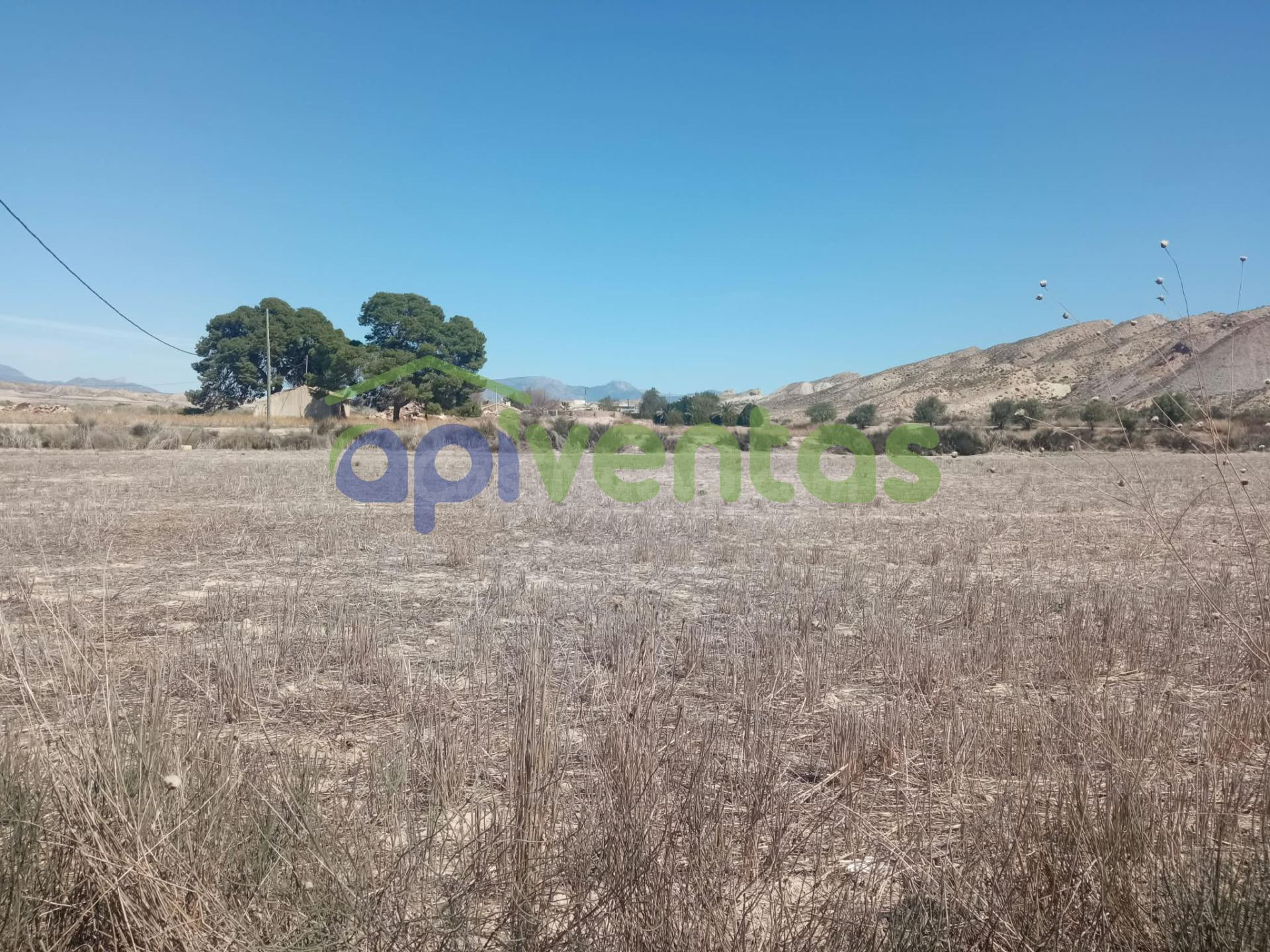 Terreno en Lorca (LERNA) - foto 3