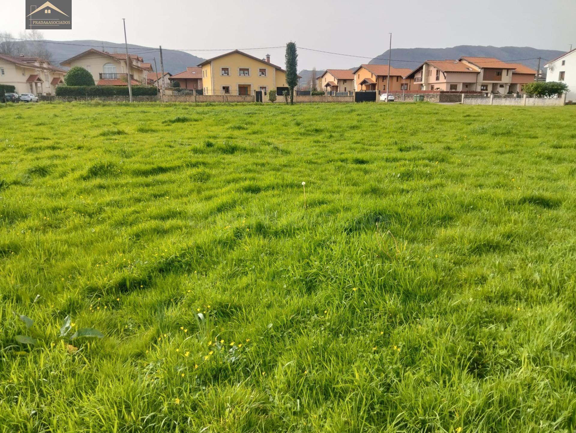 FINCA URBANA 2875M2 EN  VERNEJO (CABEZON DE LA SAL)