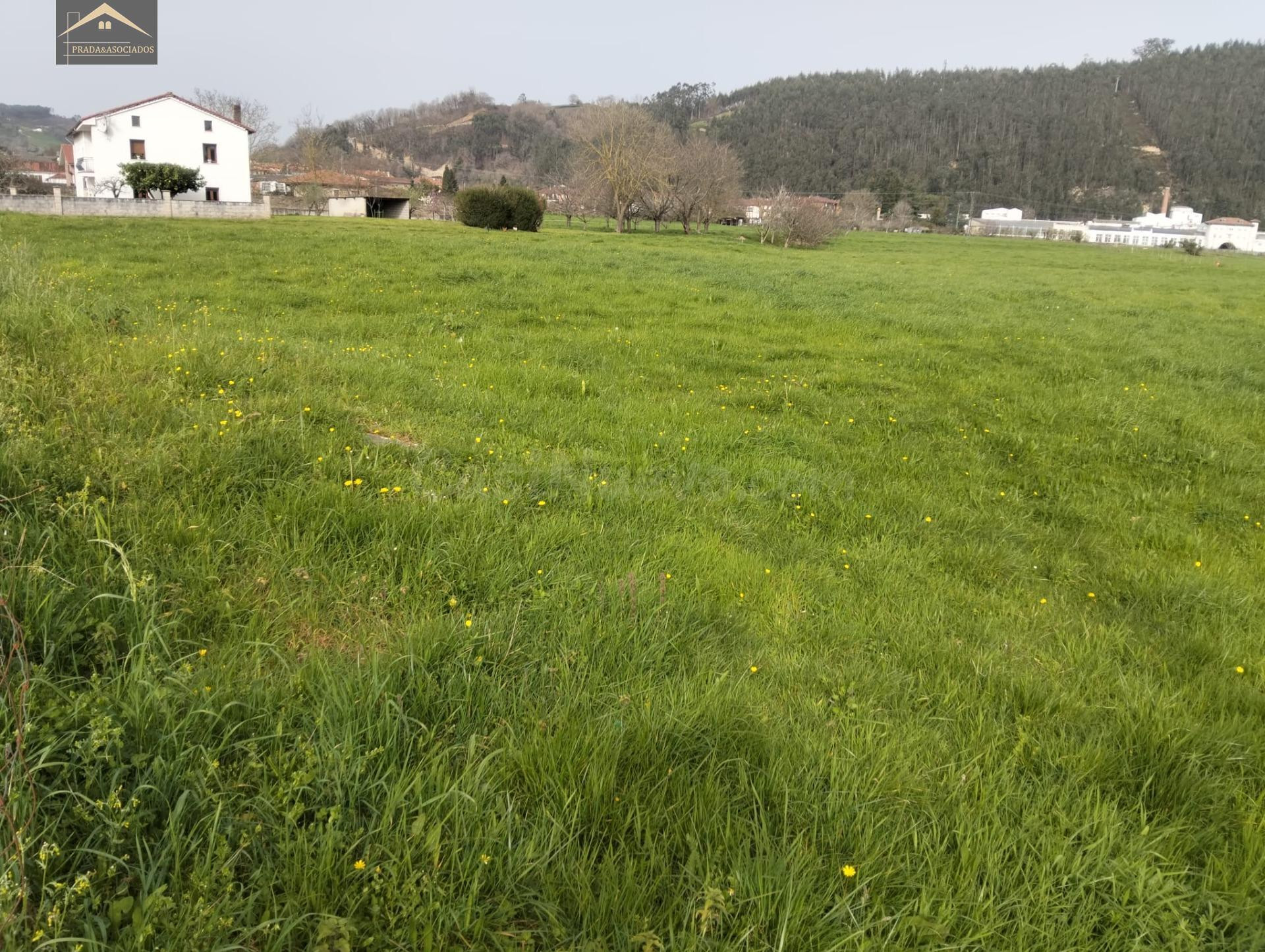 FINCA URBANA 2875M2 EN  VERNEJO (CABEZON DE LA SAL) - foto 5