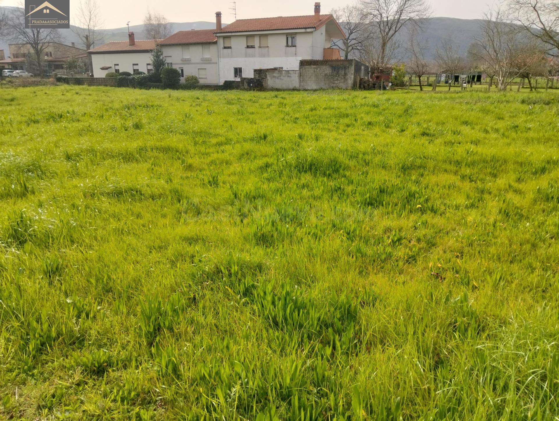 FINCA URBANA 2118M2 EN ONTORIA (CABEZON DE LA SAL) - foto 2