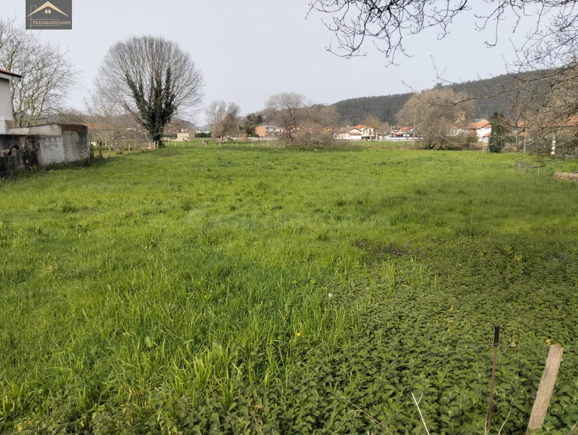 FINCA URBANA 2118M2 EN ONTORIA (CABEZON DE LA SAL) - foto 5