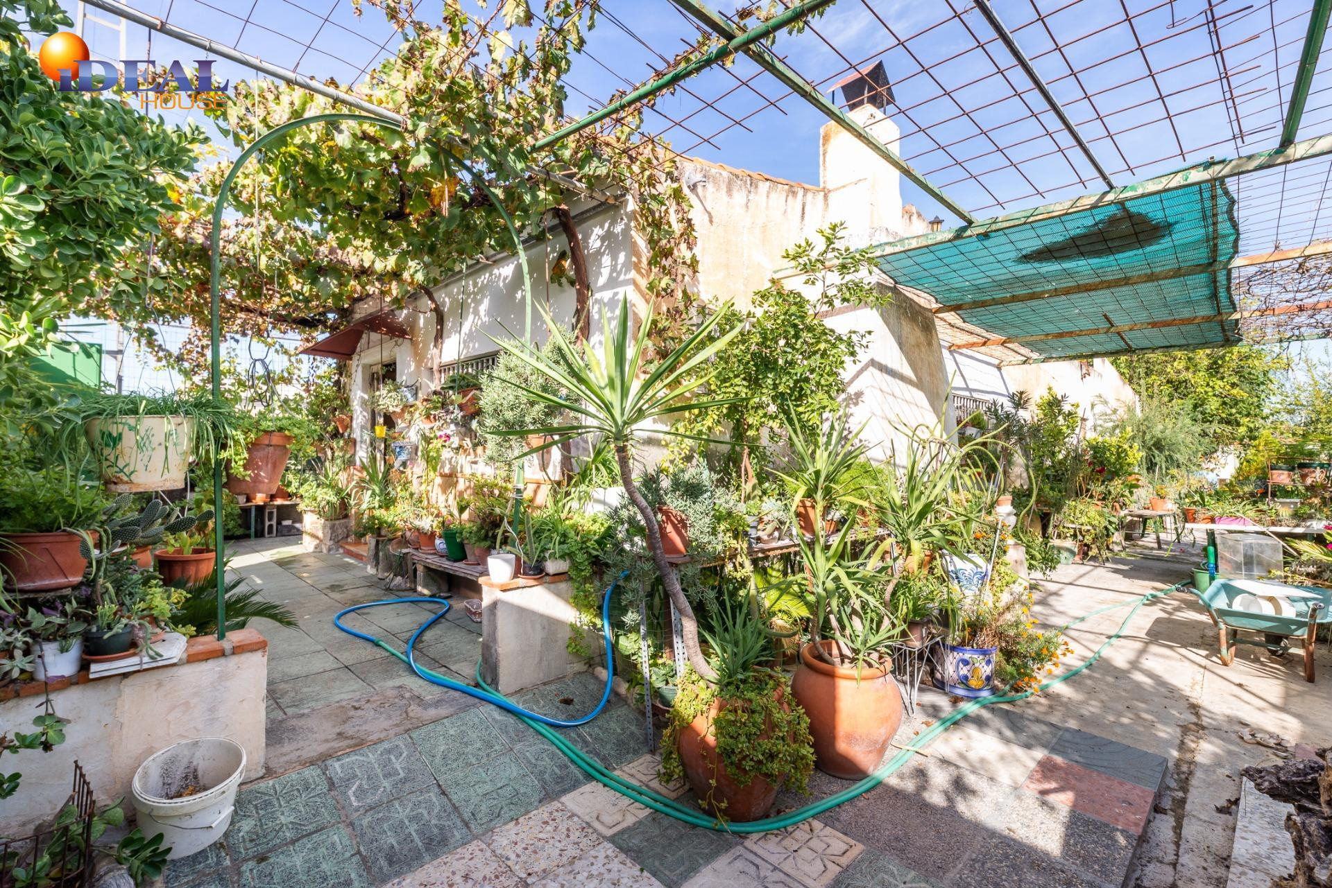 Amplia finca rústica con vivienda y terreno para proyecto a  - foto 4