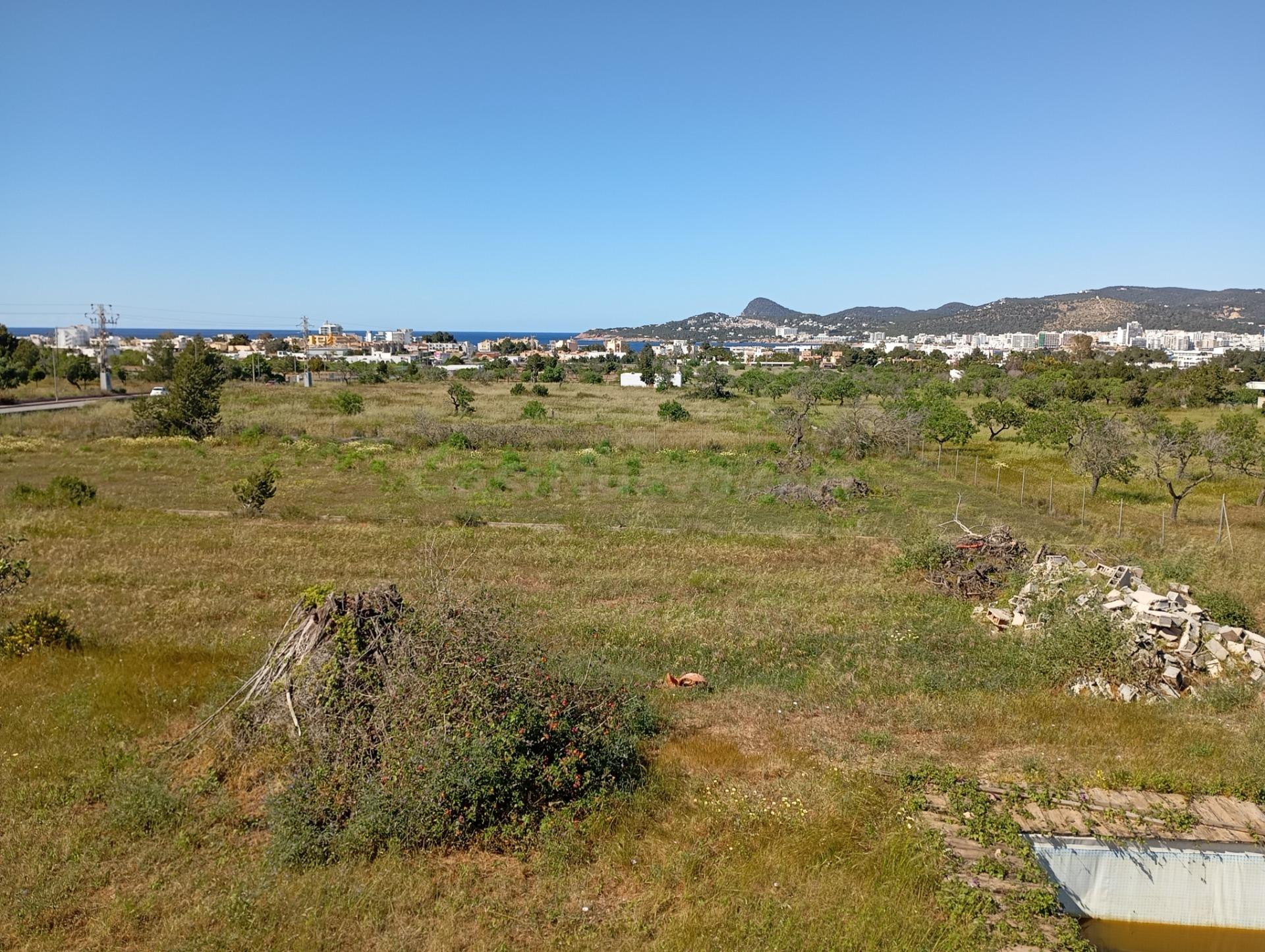 VENDEMOS CHALET CON TERRENO EN SAN AGUSTÍN - foto 4