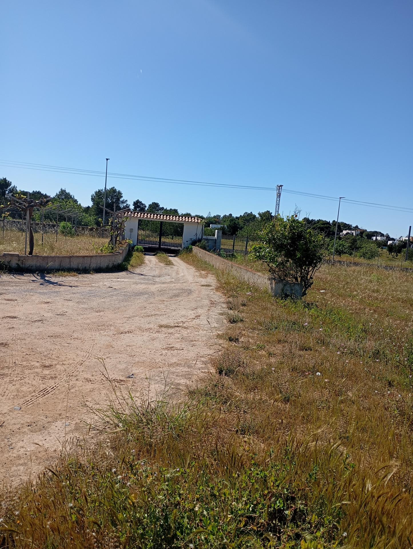 VENDEMOS CHALET CON TERRENO EN SAN AGUSTÍN - foto 5