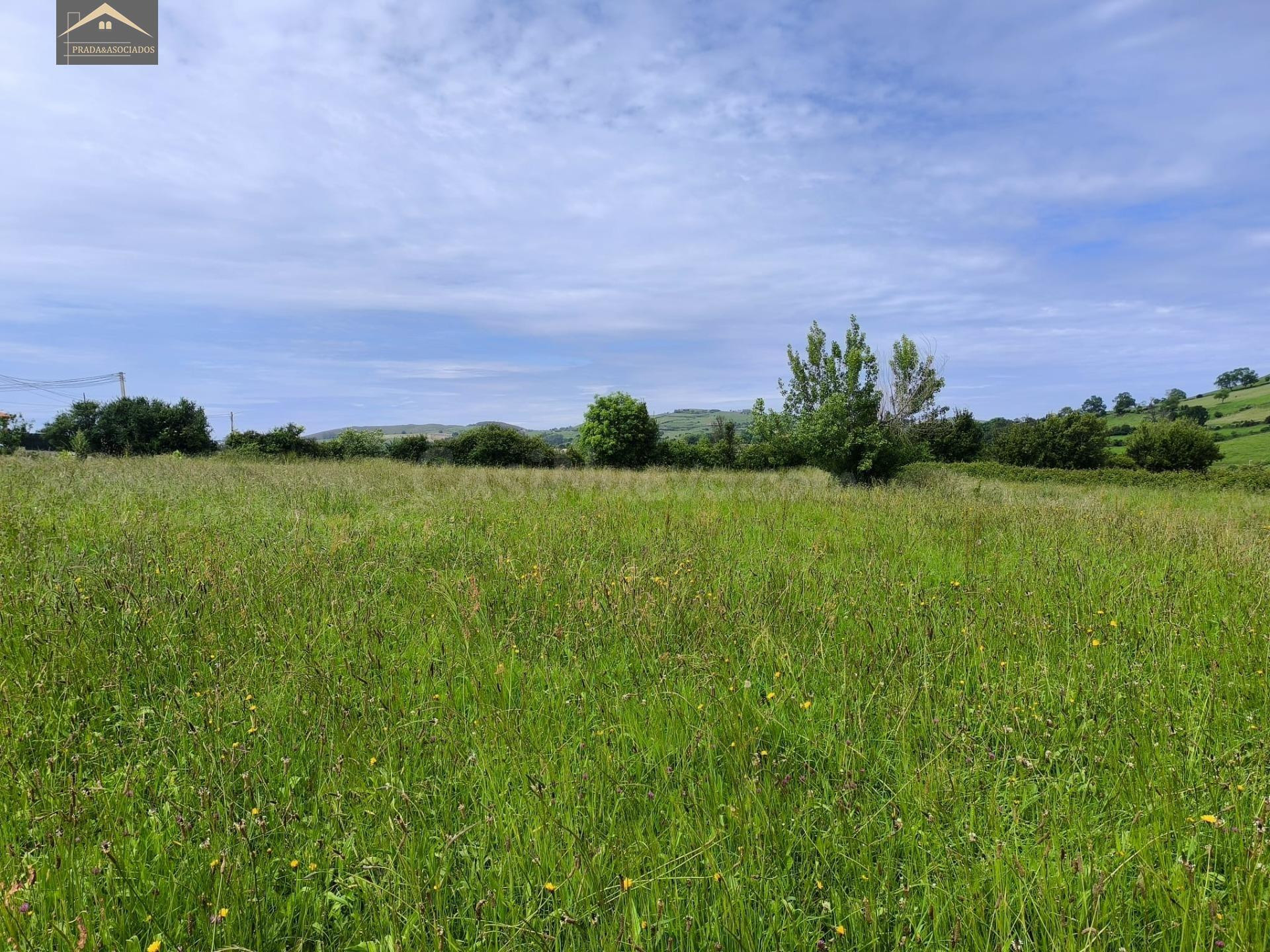PARCELA URBANA DE 1.518M2 EN VISPIERES (SANTILLANA DEL MAR) - foto 4