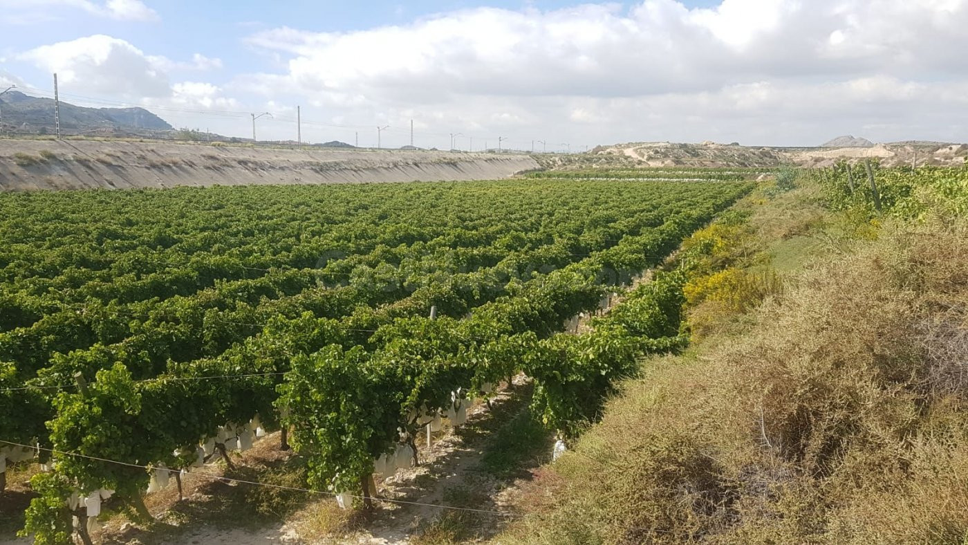FINCA RÚSTICA
