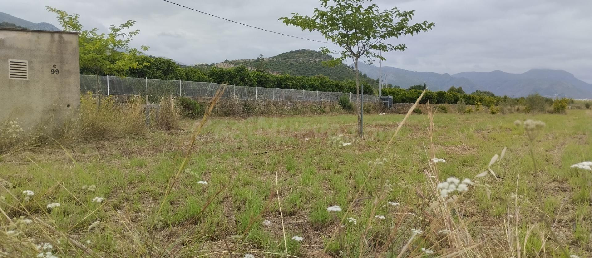 Finca llana con luz y agua
