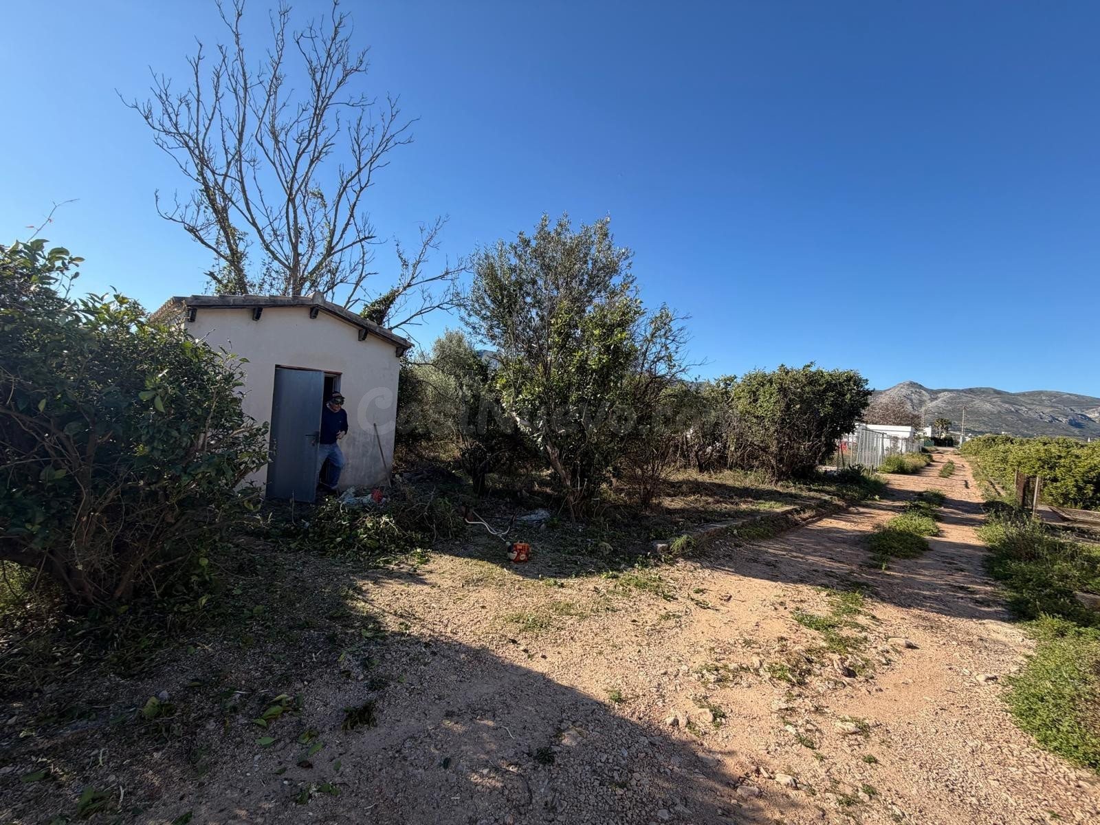 Finca rustica - foto 2