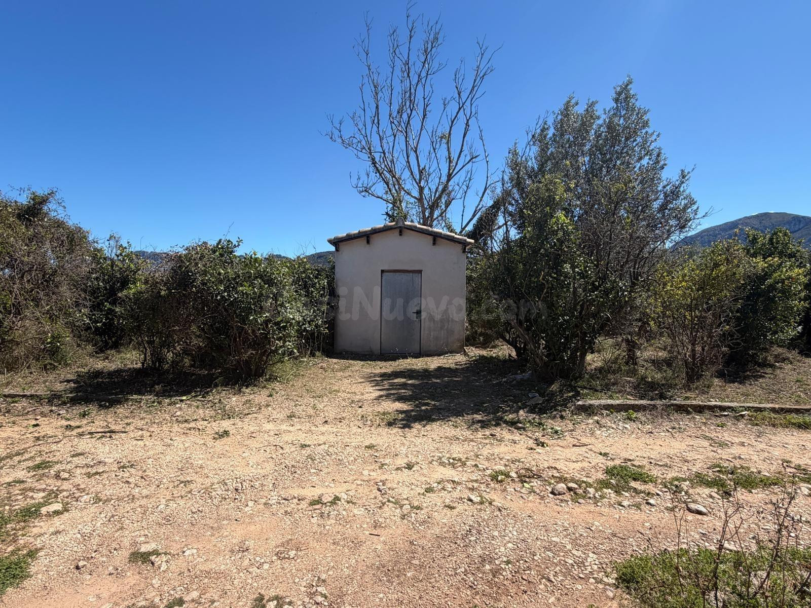 Finca rustica - foto 3