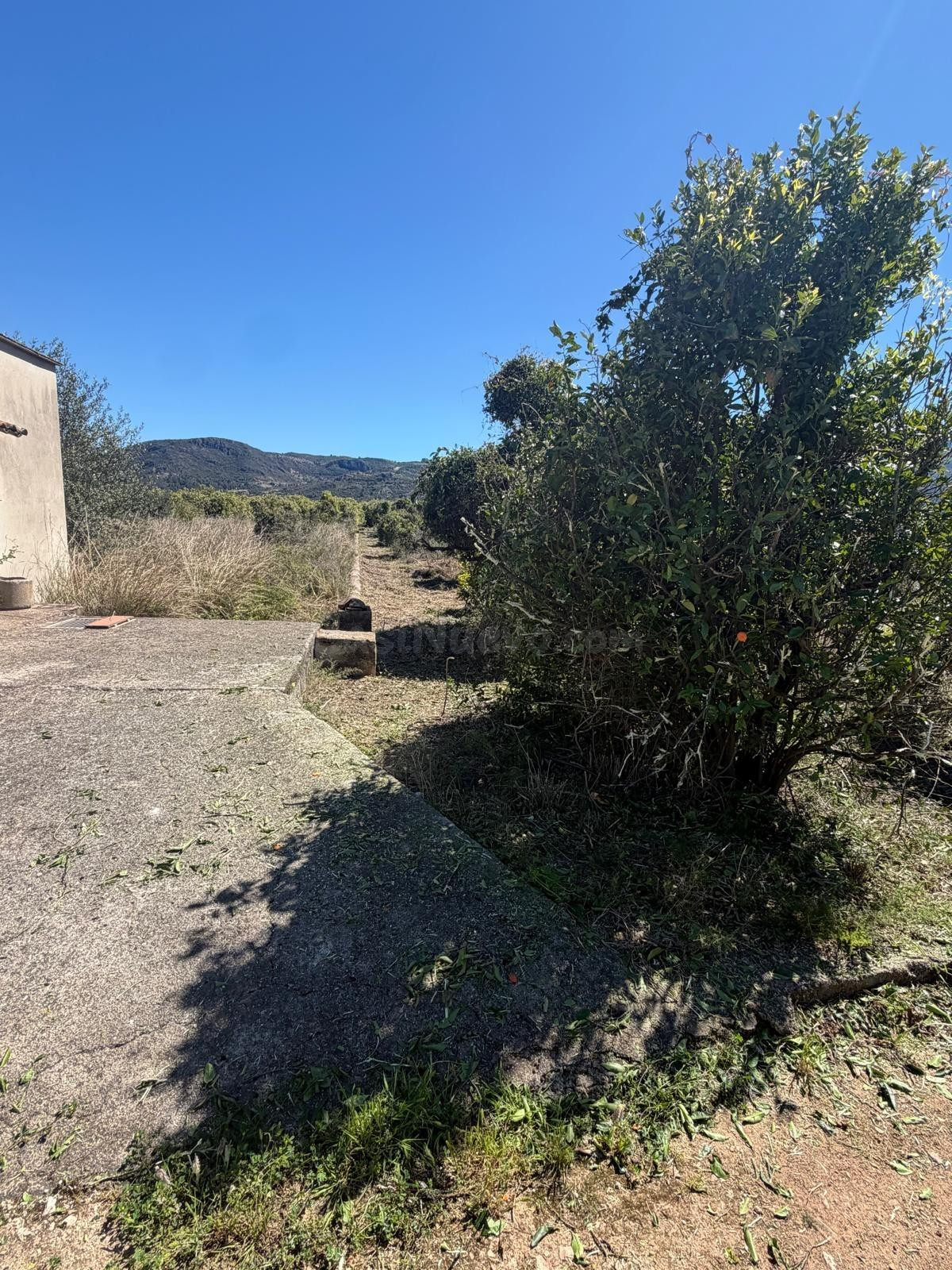Finca rustica - foto 4