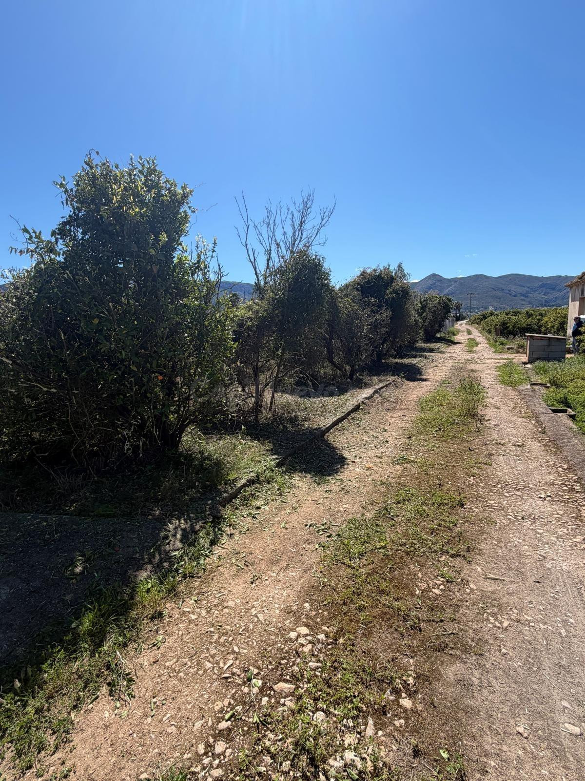 Finca rustica - foto 5