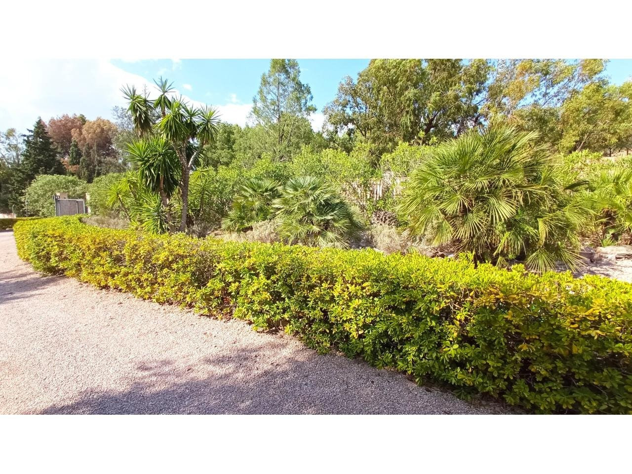 OCASIÓN - foto 2