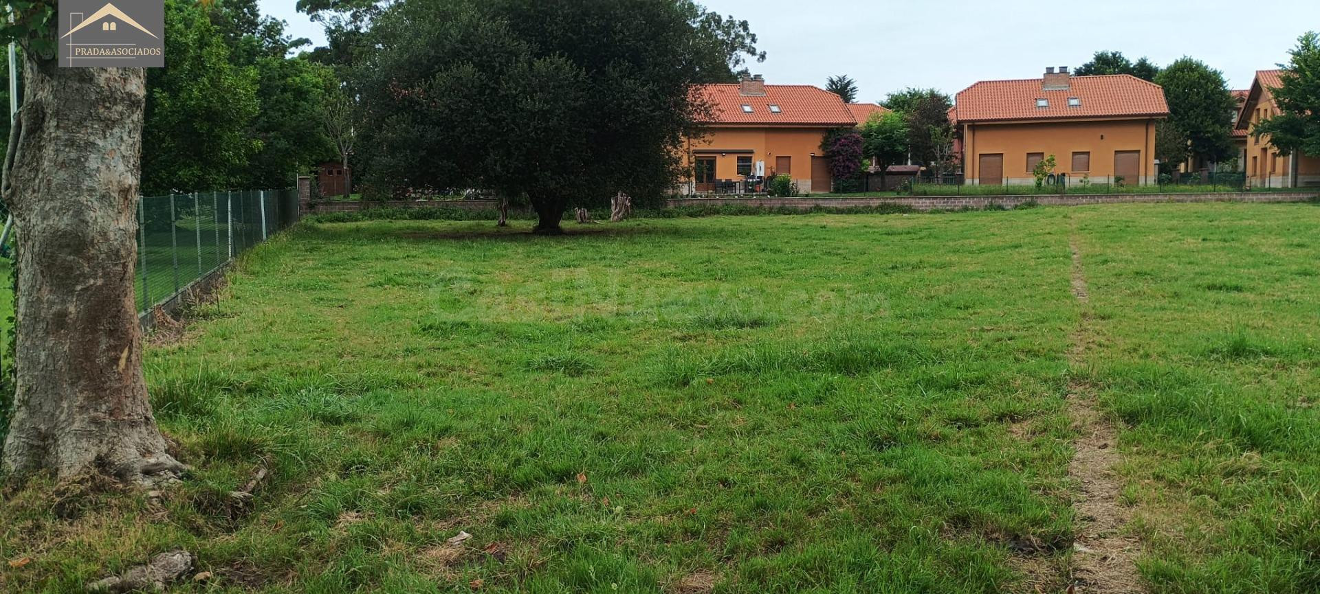 CONJUNTO DE DOS FINCAS EN HINOJEDO (SUANCES) - foto 4