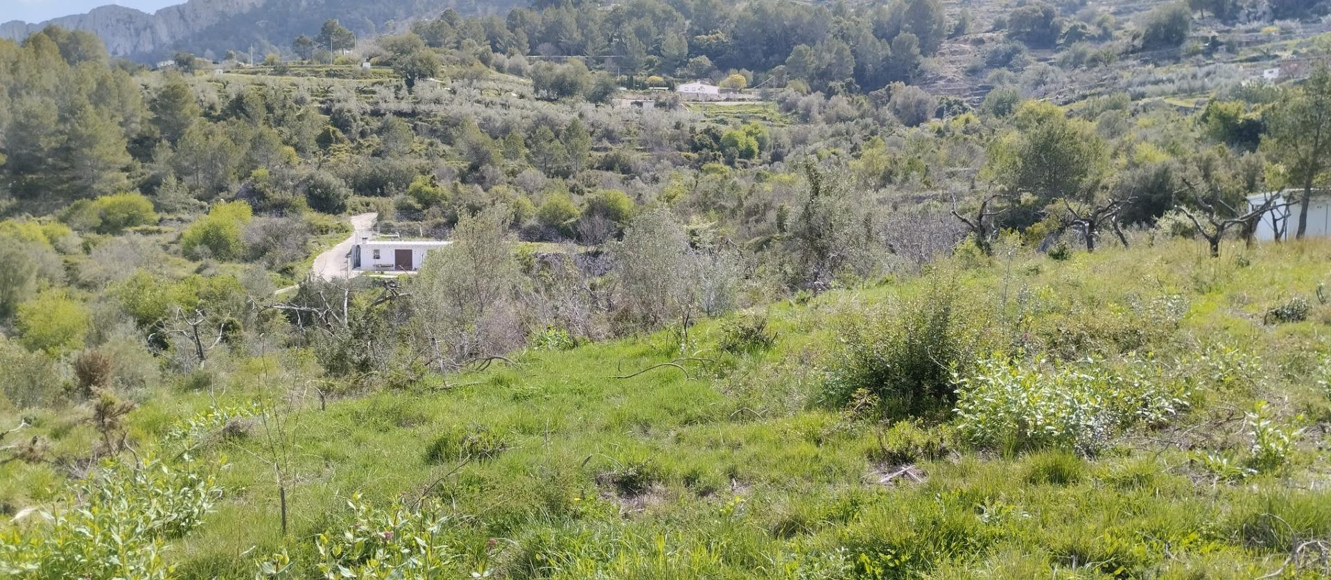 Finca Rústica Ideal para Uso Agrícola en Entorno Natural