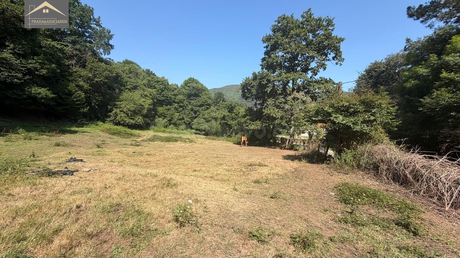Finca Urbanizable con autorización de la CROTU y proyecto bá