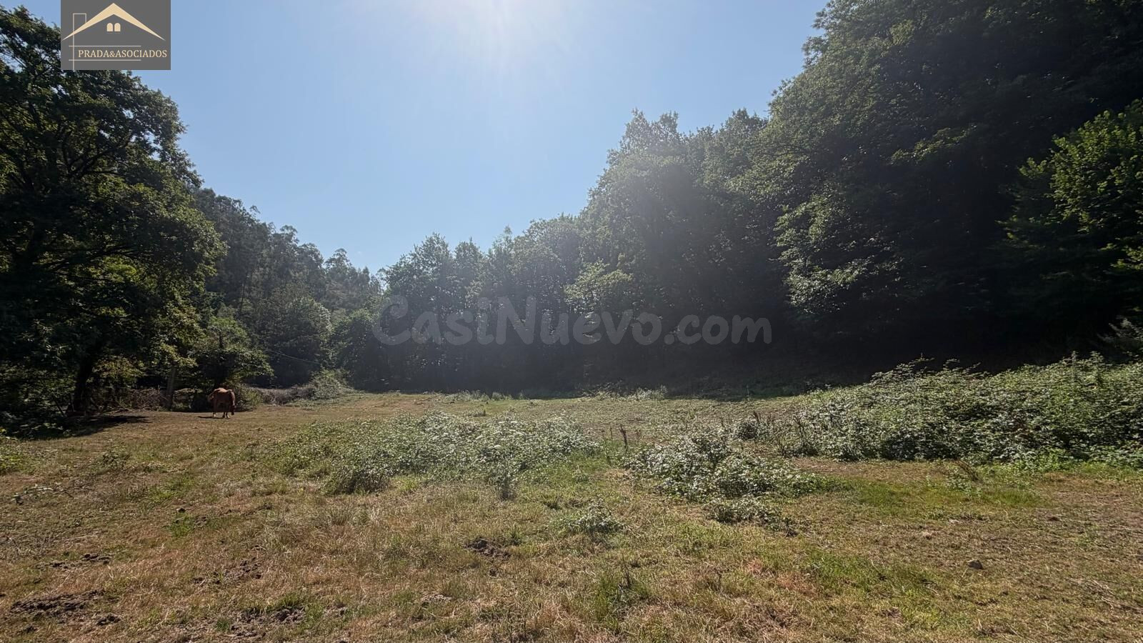 Finca Urbanizable con autorización de la CROTU y proyecto bá - foto 3