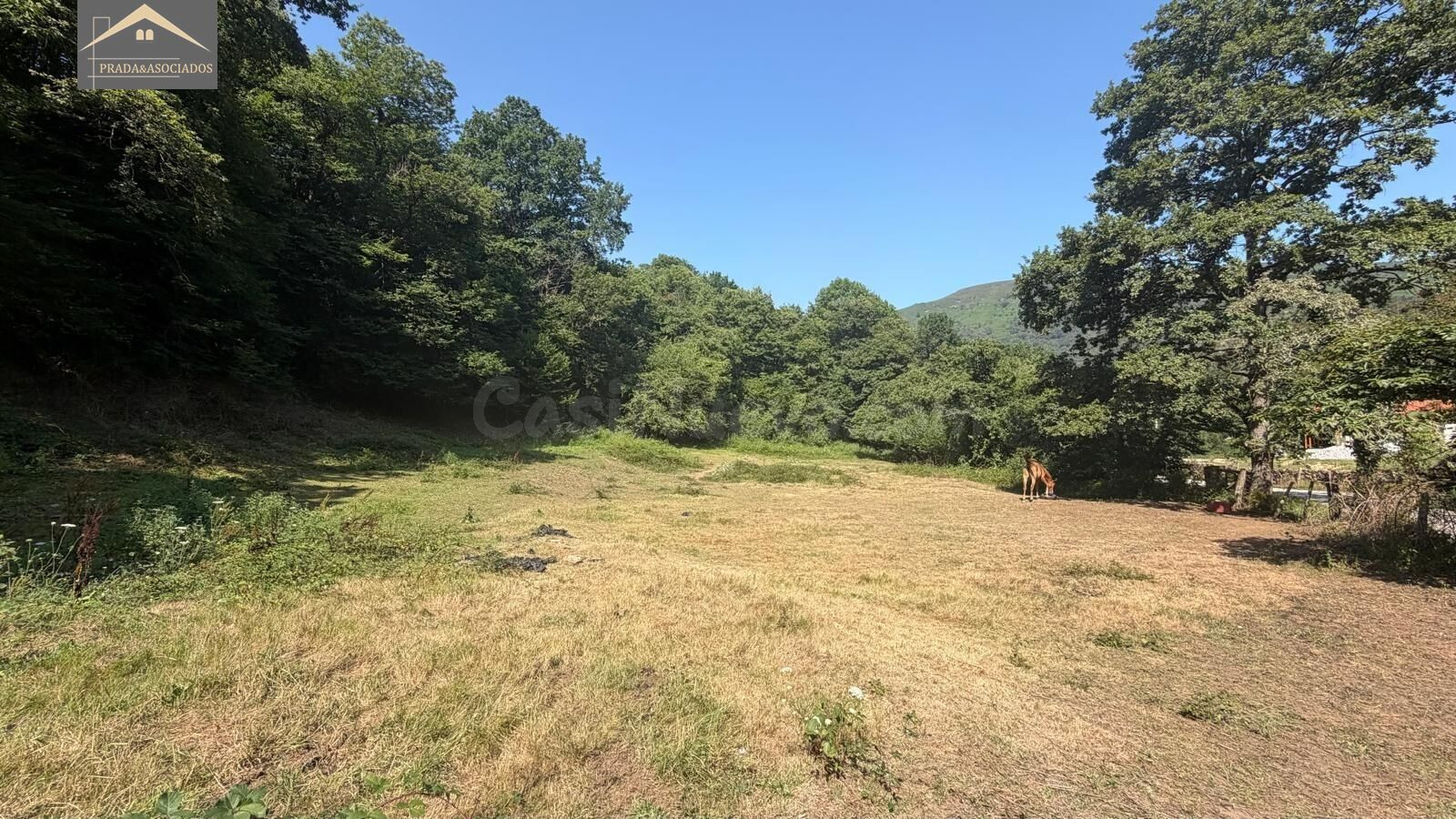 Finca Urbanizable con autorización de la CROTU y proyecto bá - foto 4