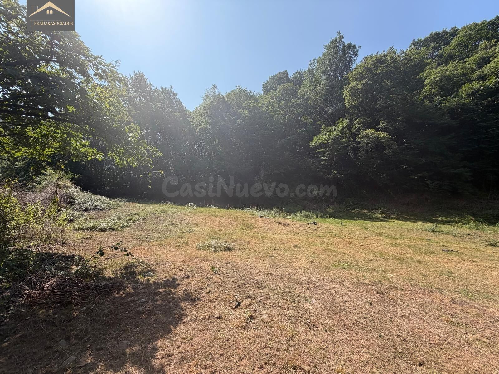 Finca Urbanizable con autorización de la CROTU y proyecto bá - foto 5