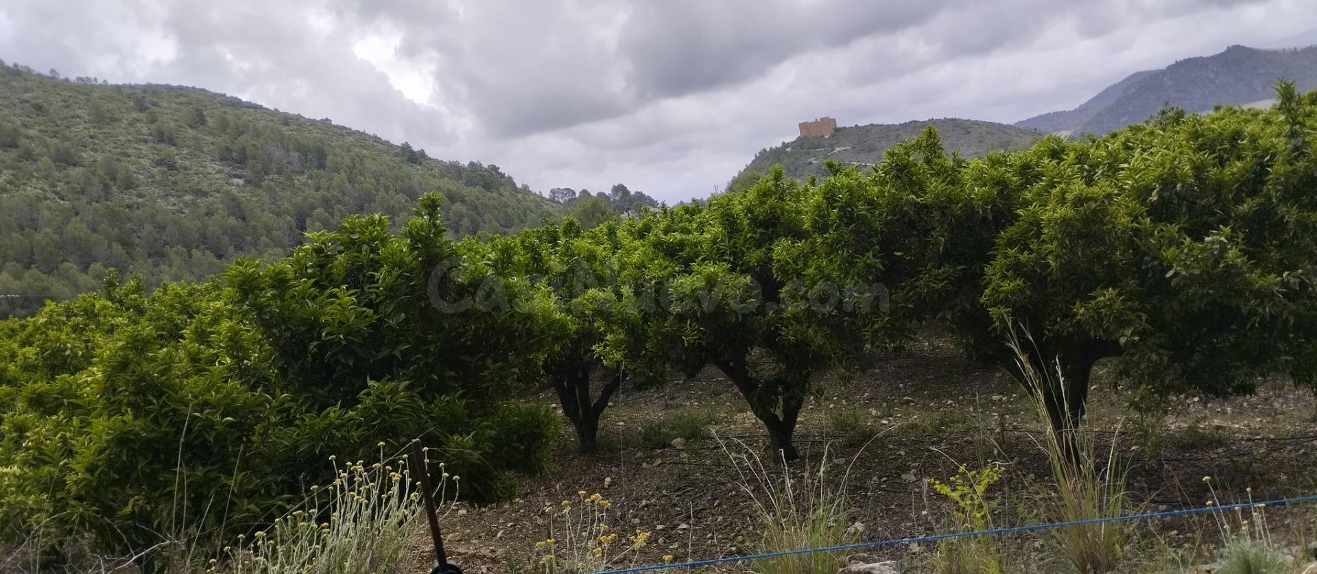 Finca rústica con caseta de aperos