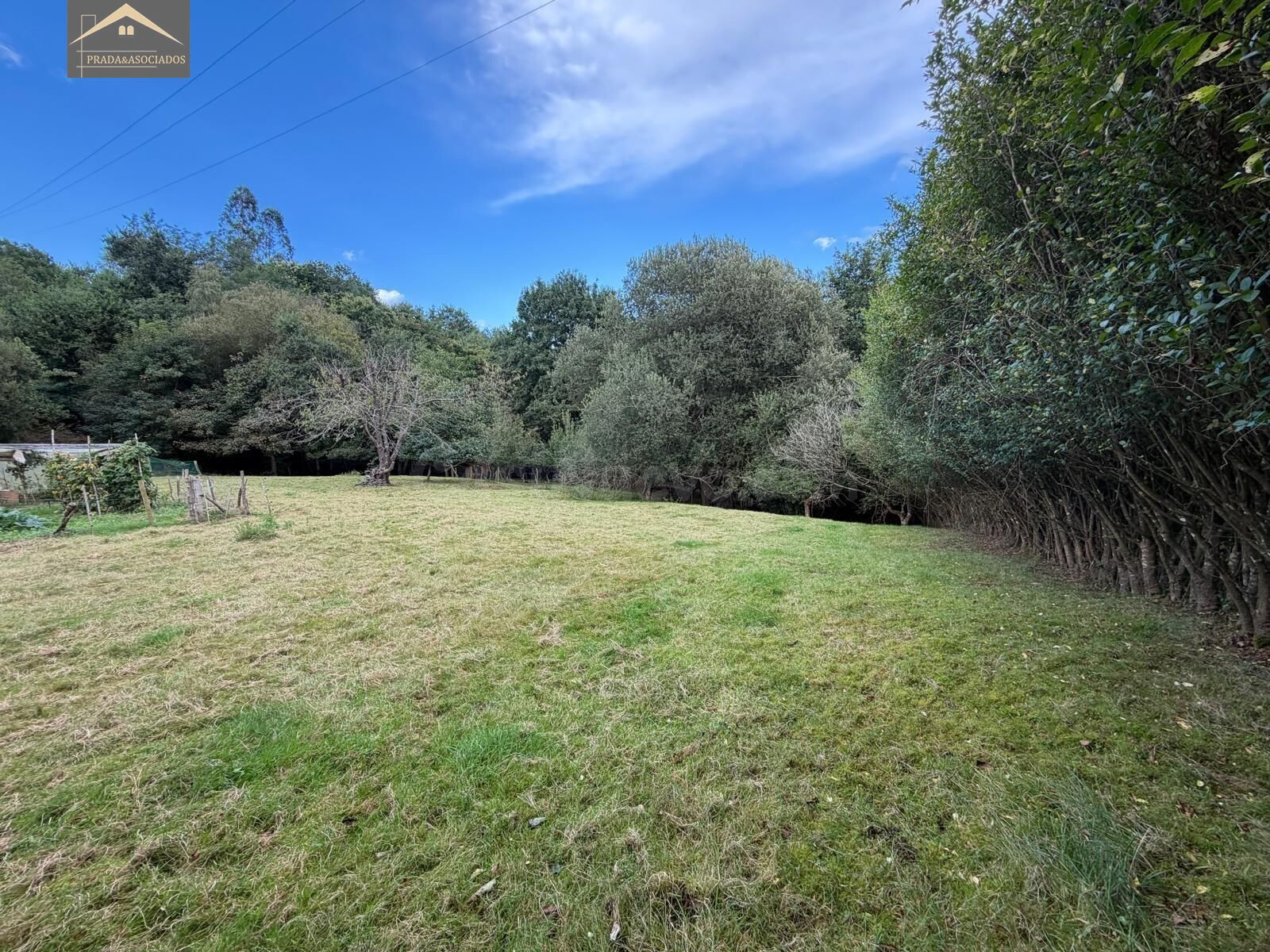 Finca Urbanizable de 3.412 m2 en Udias-Cantabria