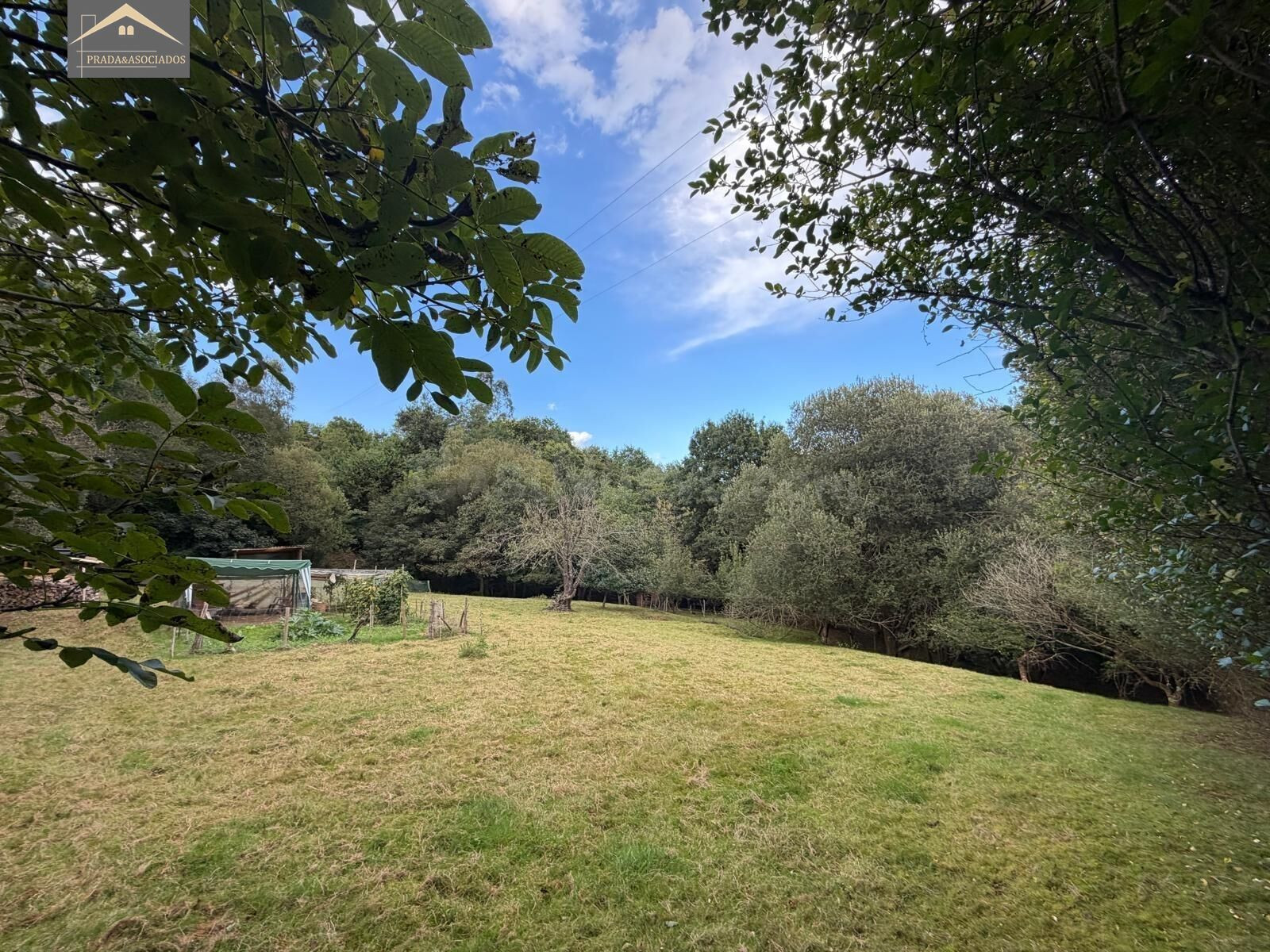 Finca Urbanizable de 3.412 m2 en Udias-Cantabria - foto 5