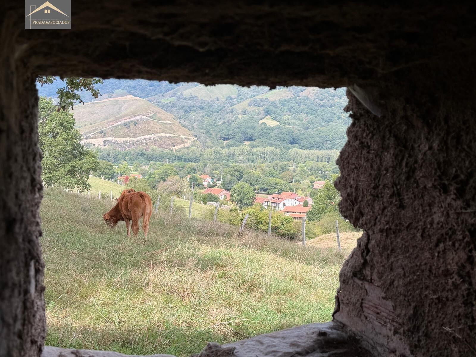 FINCA RUSTICA CON CUADRA EN RUENTE - foto 2