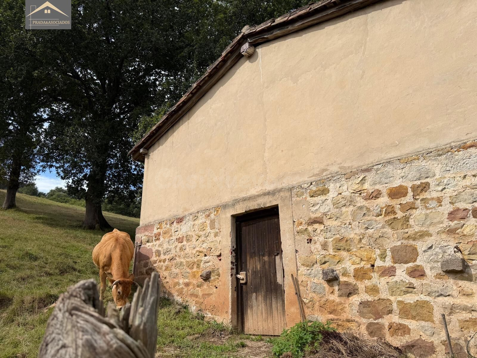 FINCA RUSTICA CON CUADRA EN RUENTE - foto 3