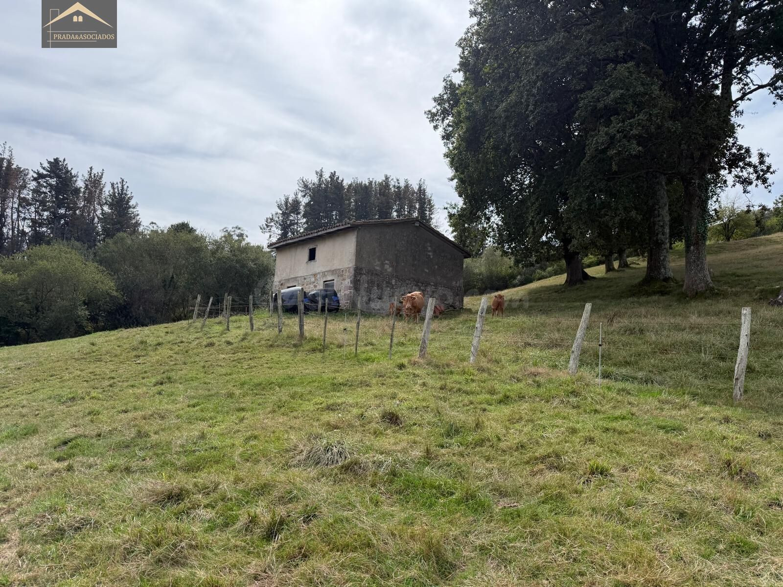 FINCA RUSTICA CON CUADRA EN RUENTE - foto 4