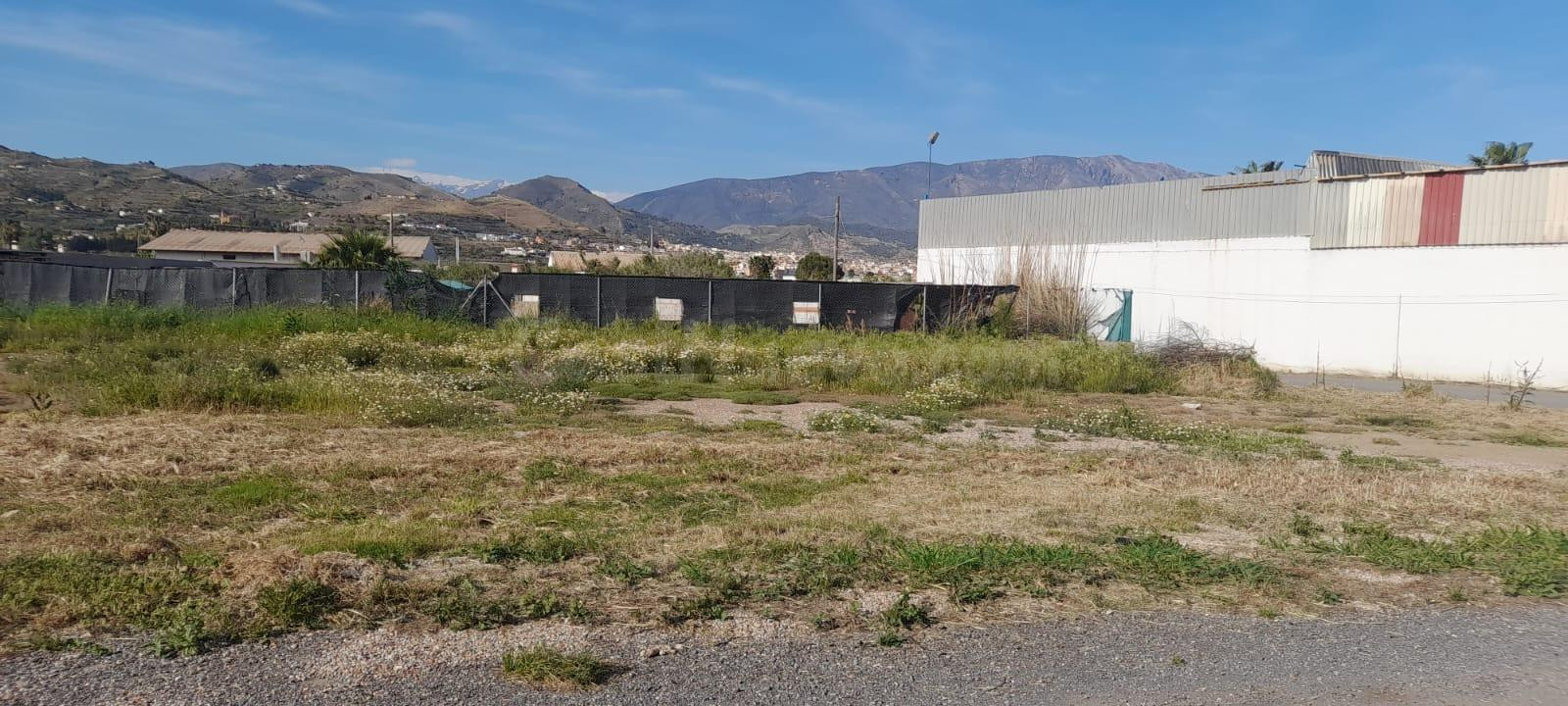 Terreno Rustico en Las Algaidas, Motril - Oportunidad Única - foto 3