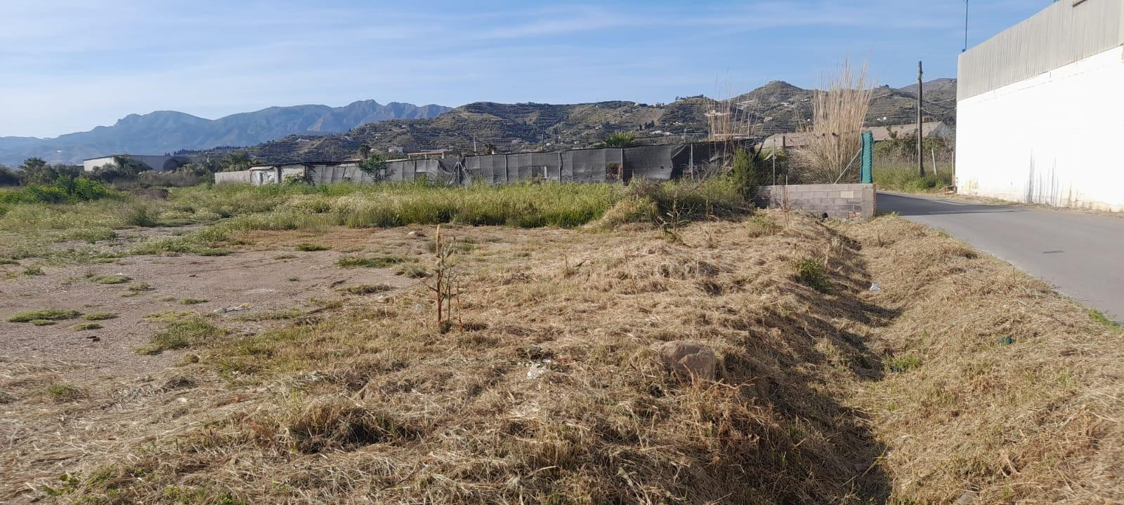 Terreno Rustico en Las Algaidas, Motril - Oportunidad Única - foto 4