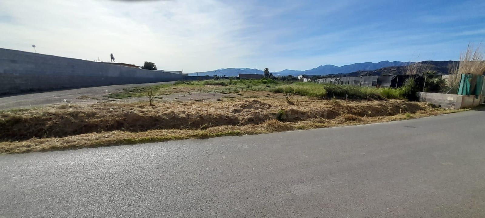 Terreno Rustico en Las Algaidas, Motril - Oportunidad Única - foto 5