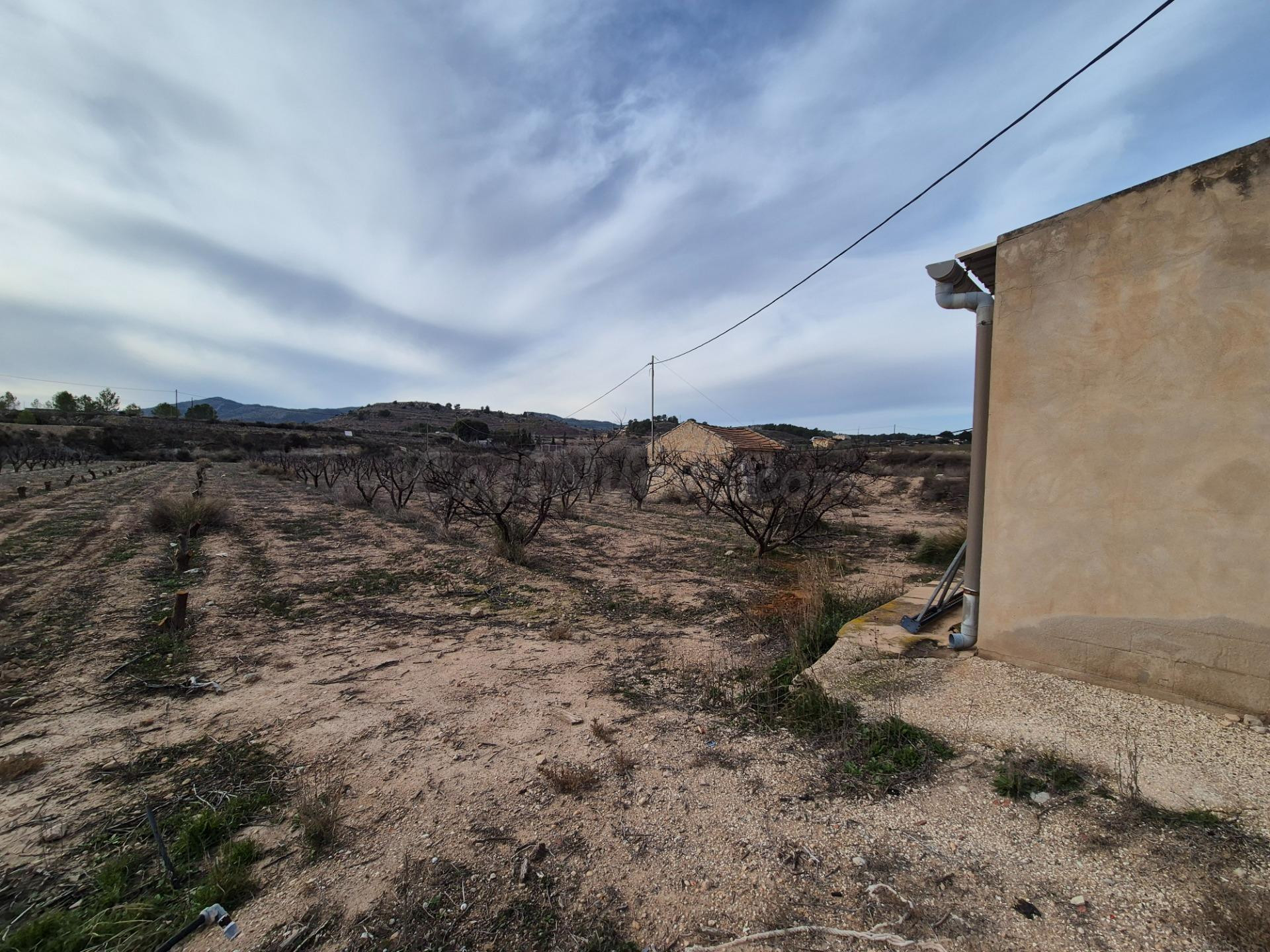 TERRENOS EN VENTA - foto 2