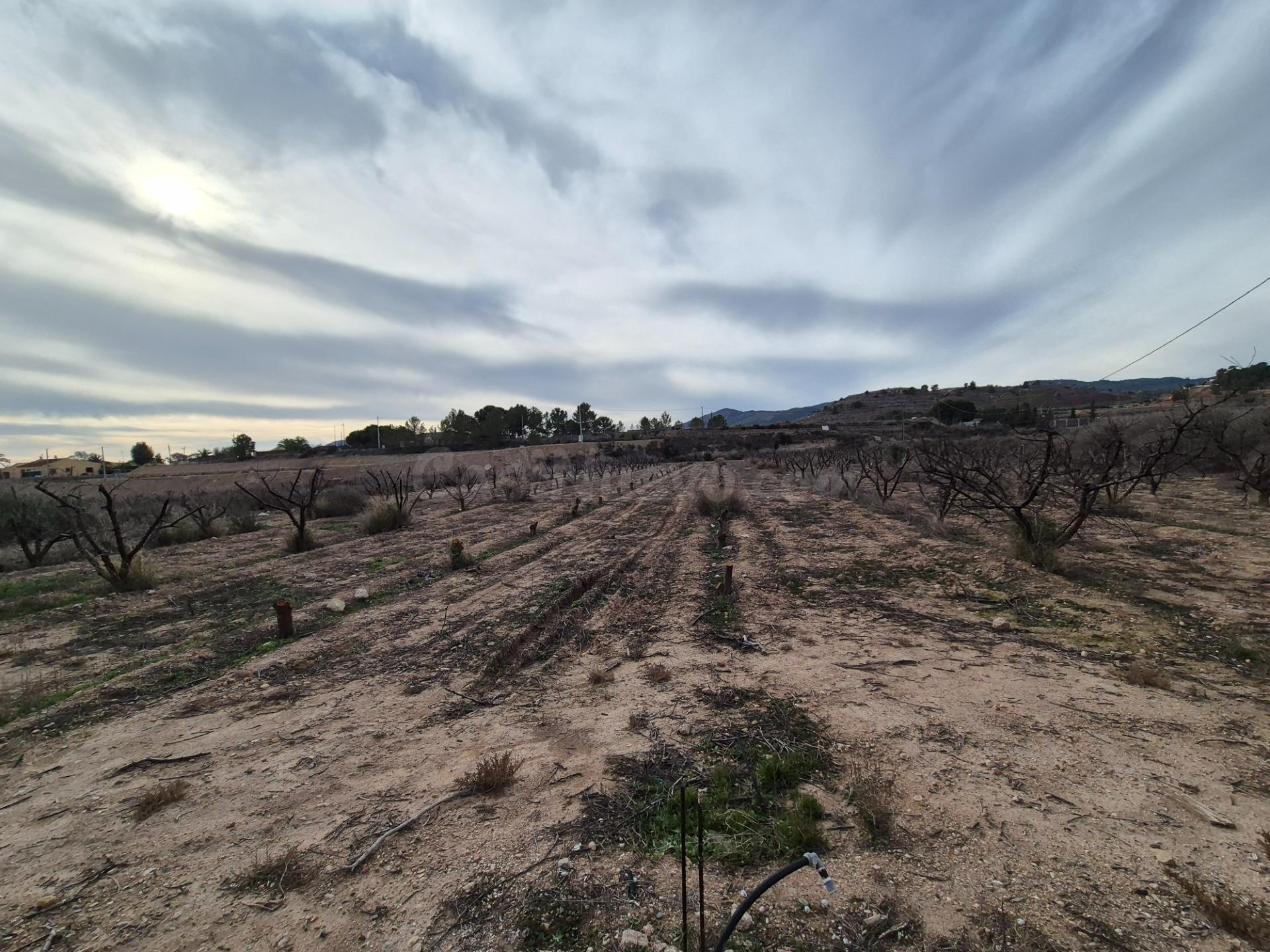 TERRENOS EN VENTA - foto 3