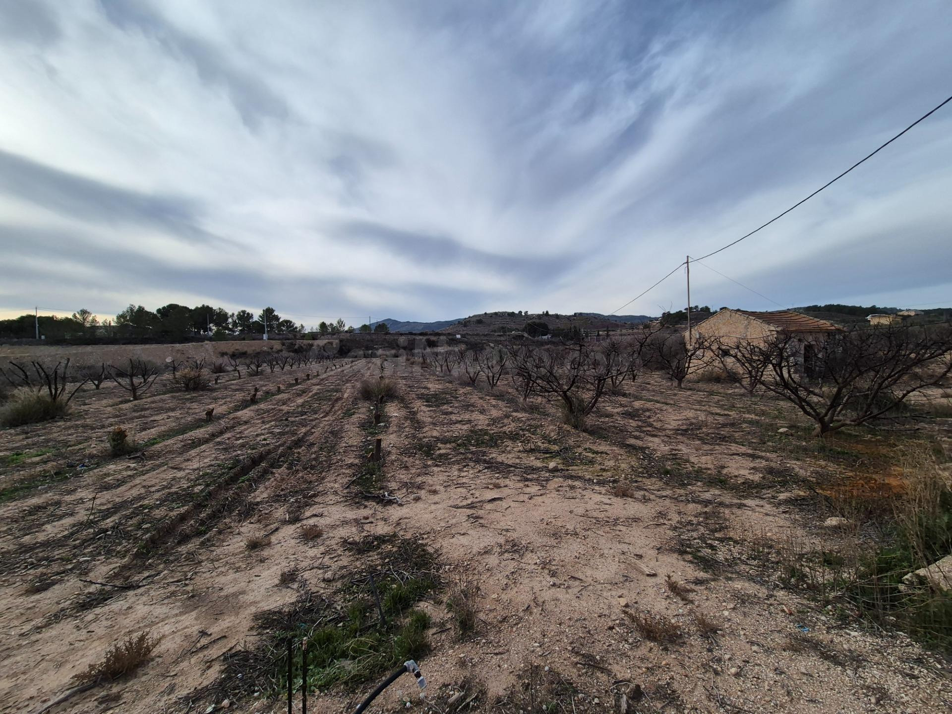 TERRENOS EN VENTA - foto 4