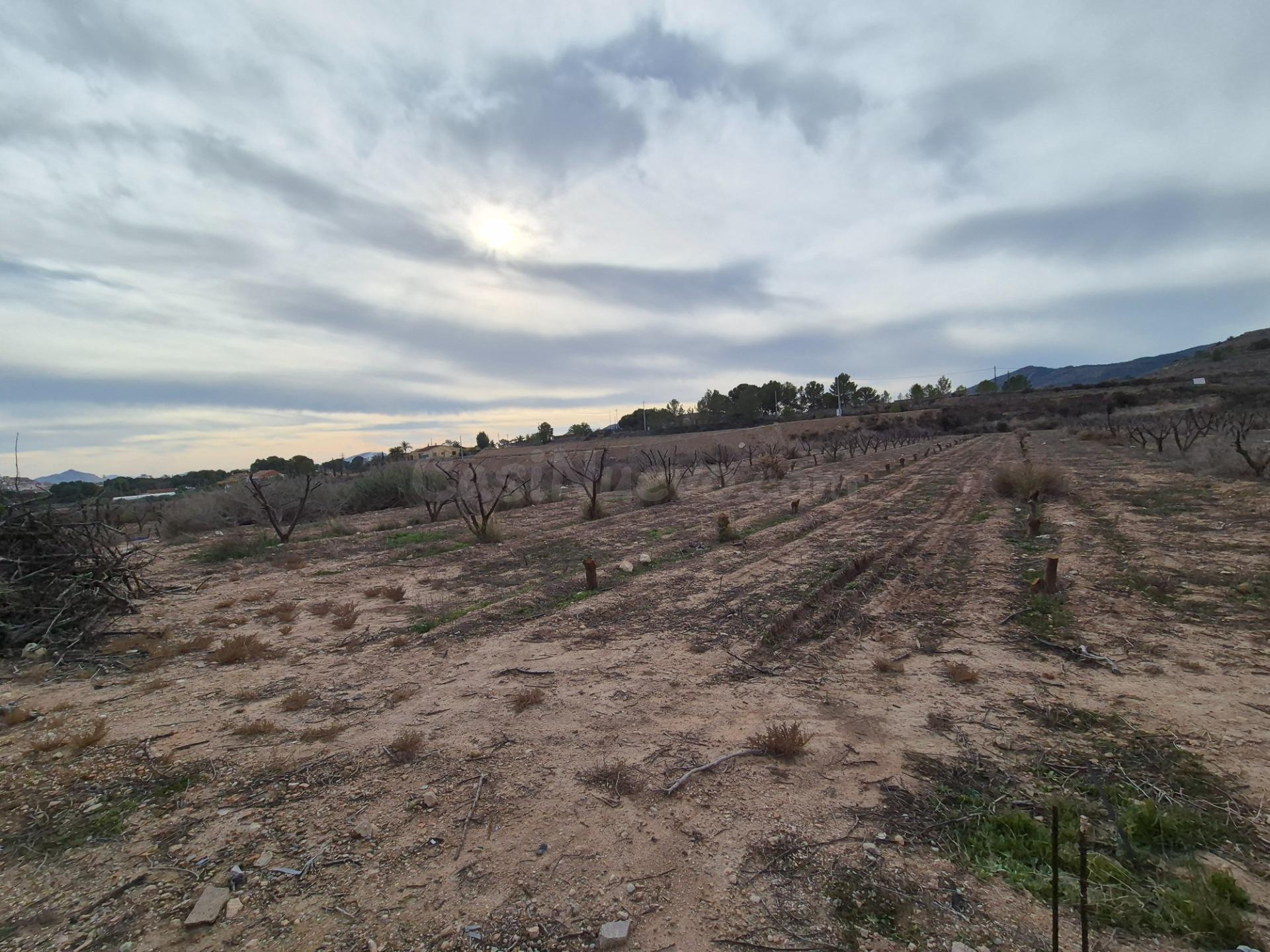 TERRENOS EN VENTA - foto 5