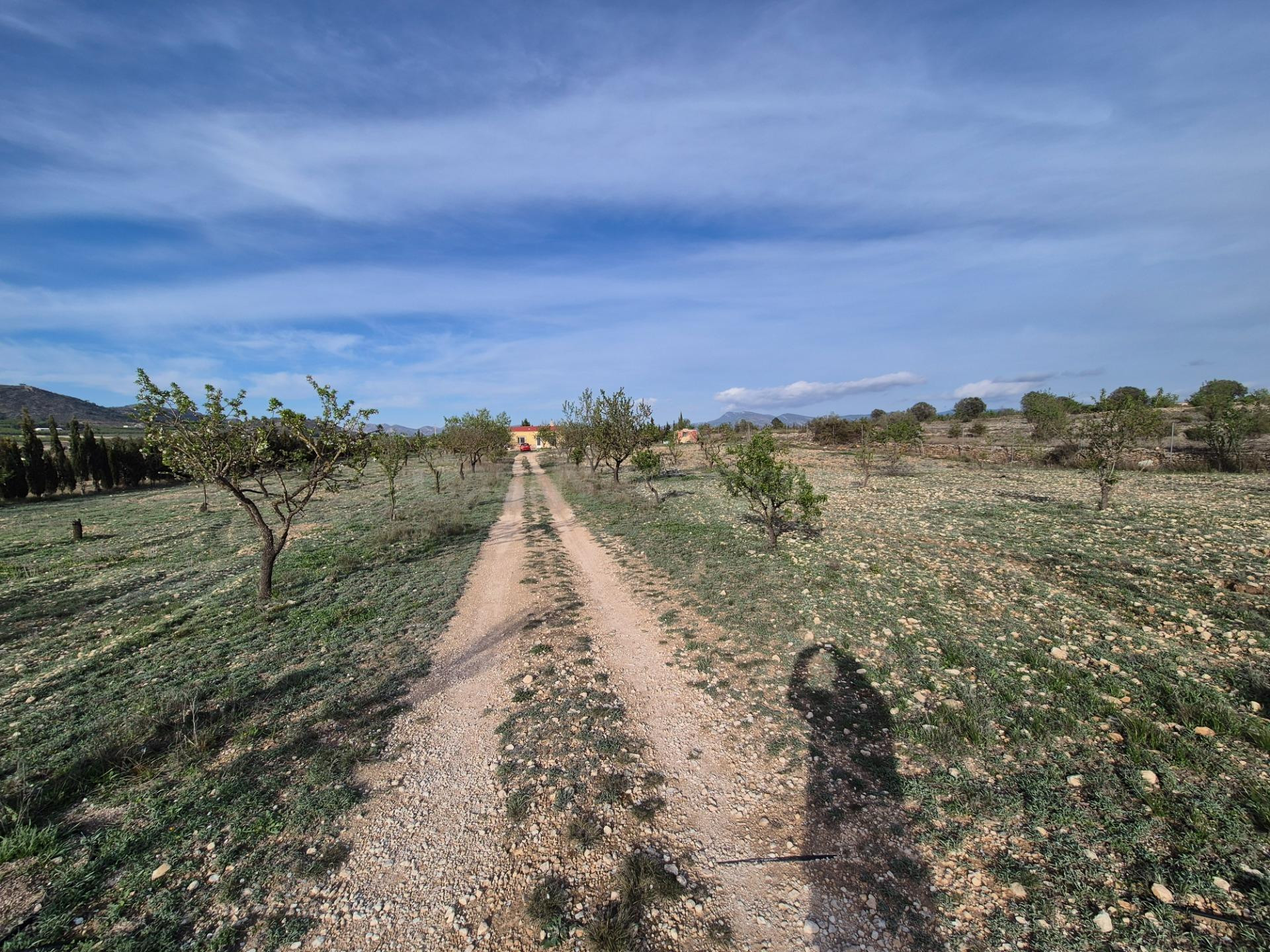 VENTA DE CAMPO