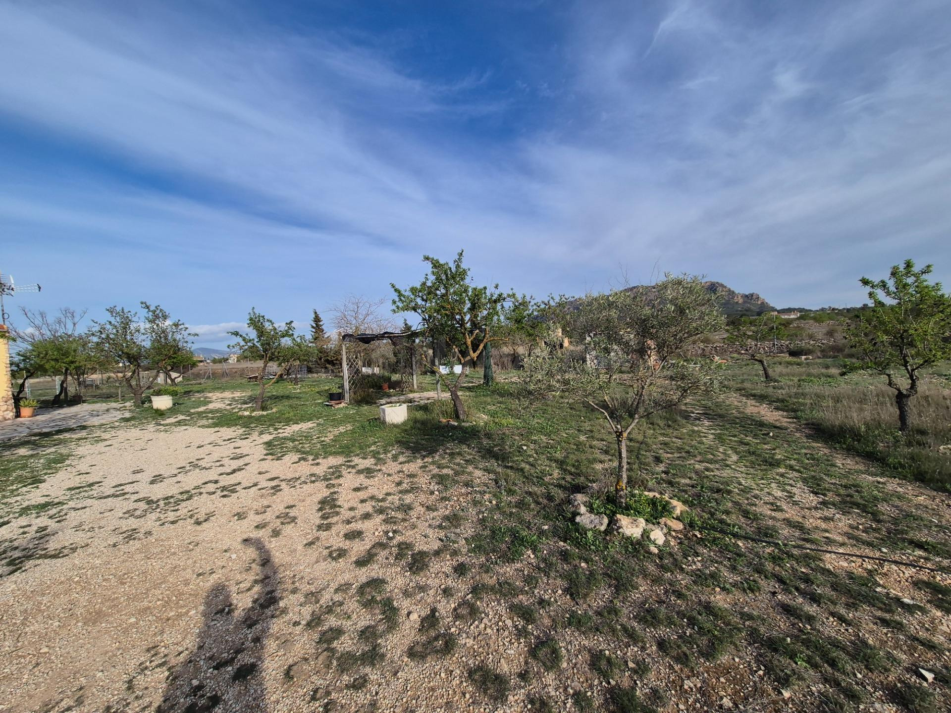 VENTA DE CAMPO - foto 3