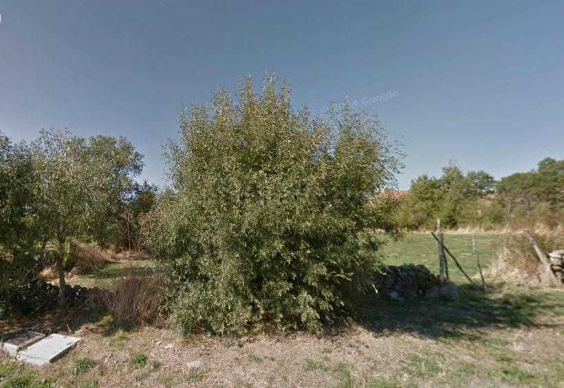 Terreno urbano en venta - Sotosalbos